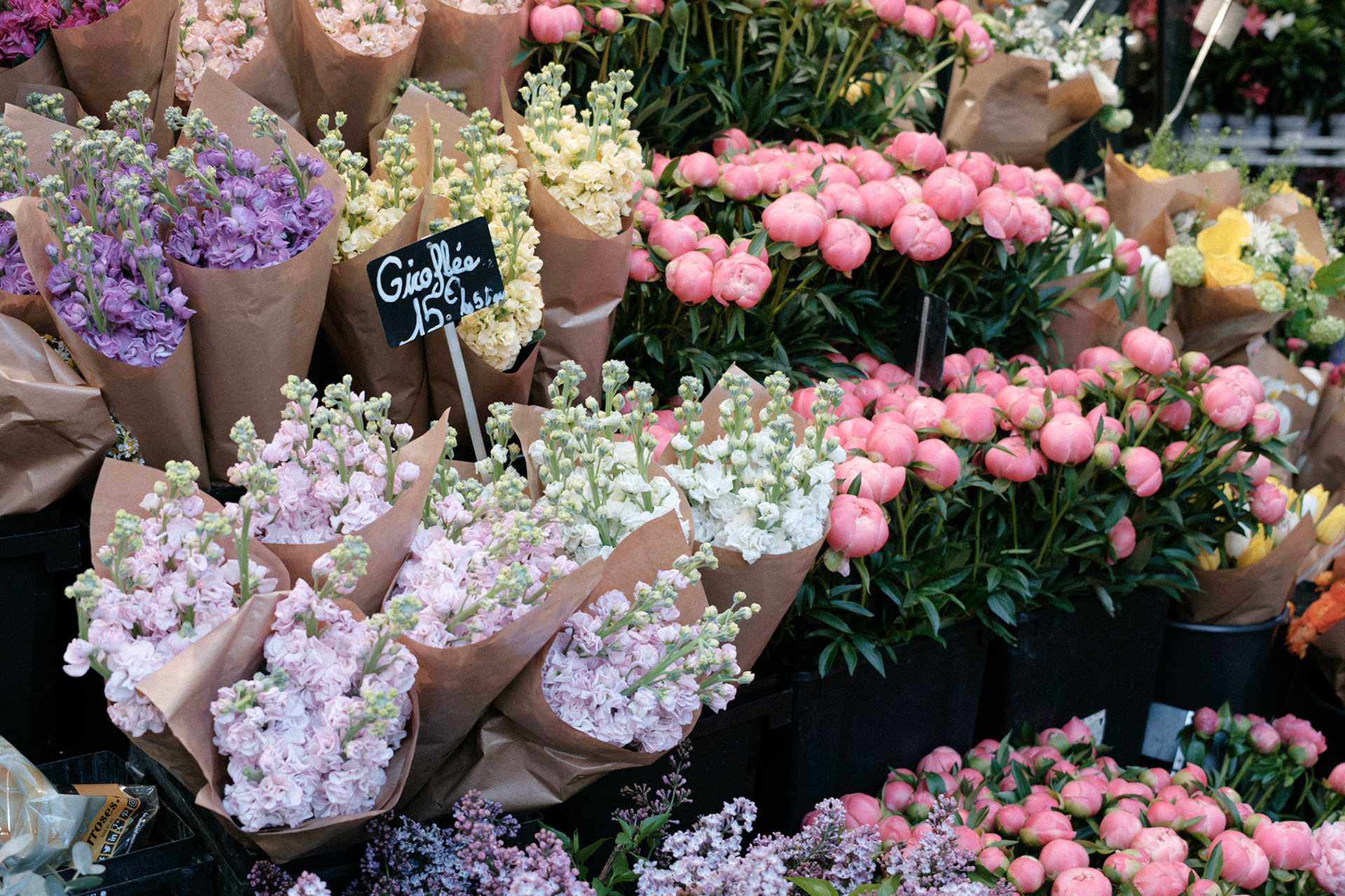 Fleurs