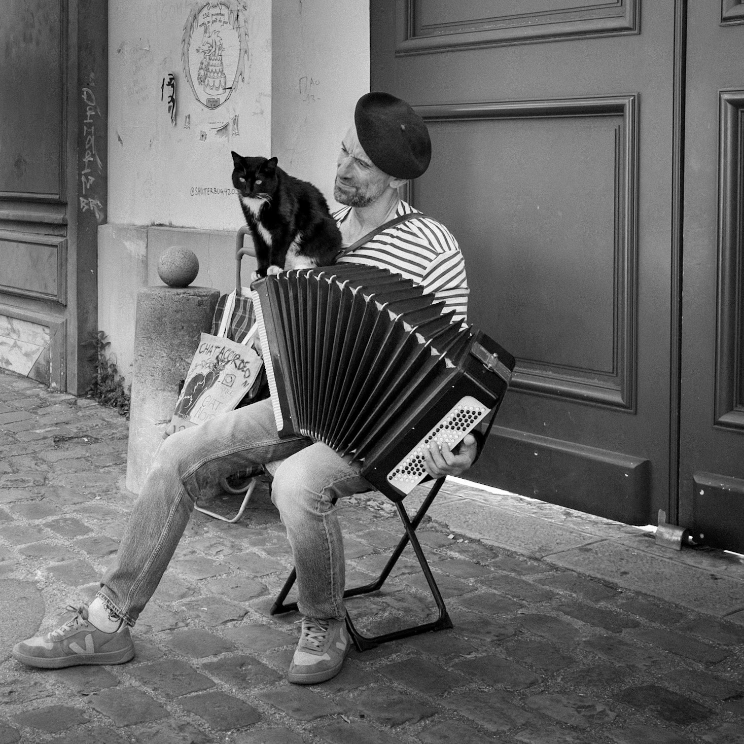 Organ Grinder