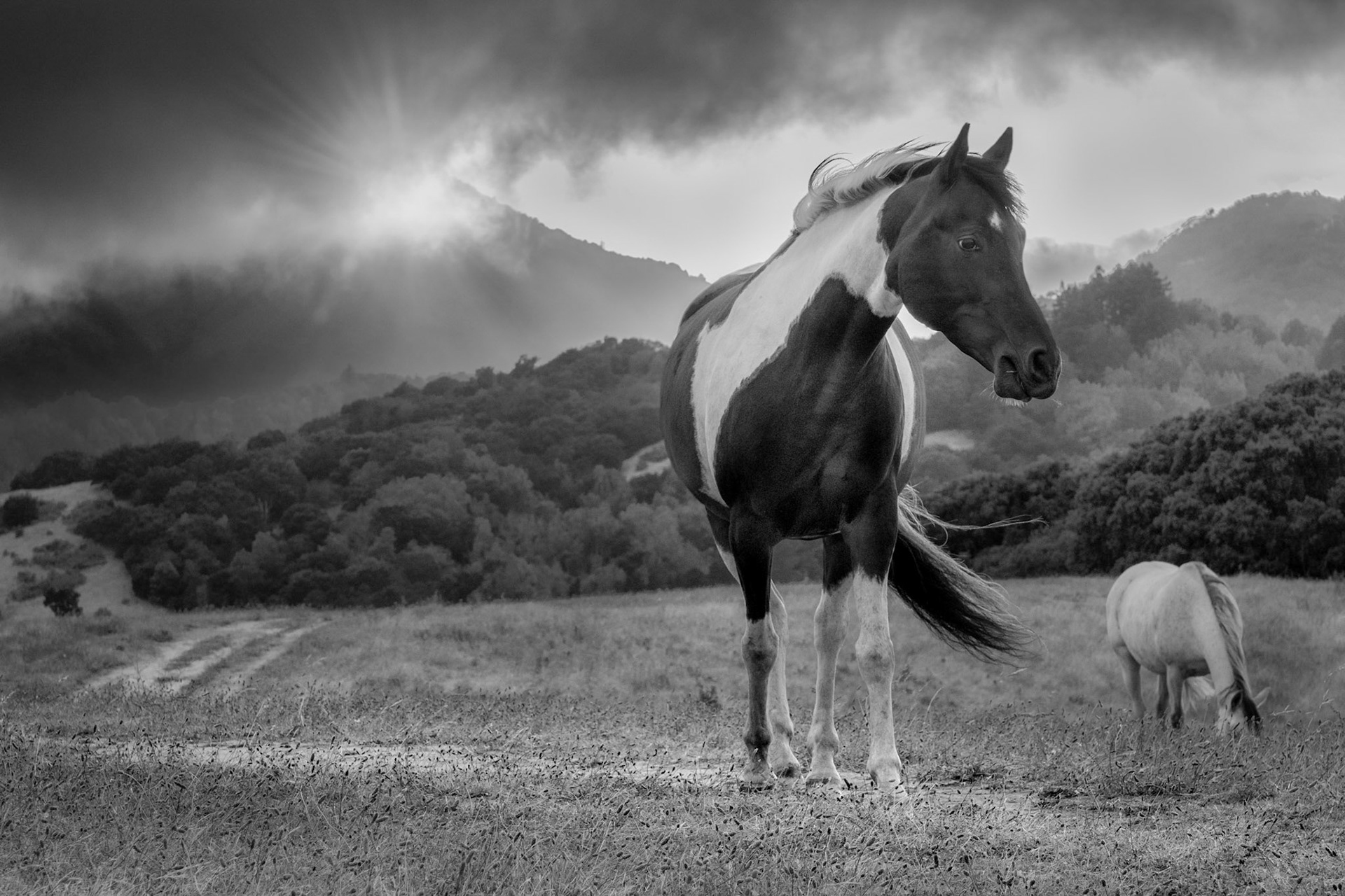 Horse Hill