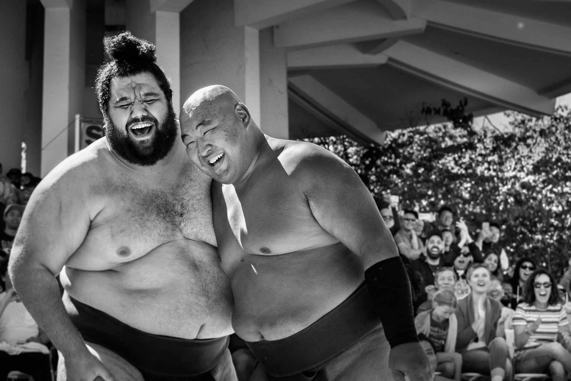 Sumo Wrestlers