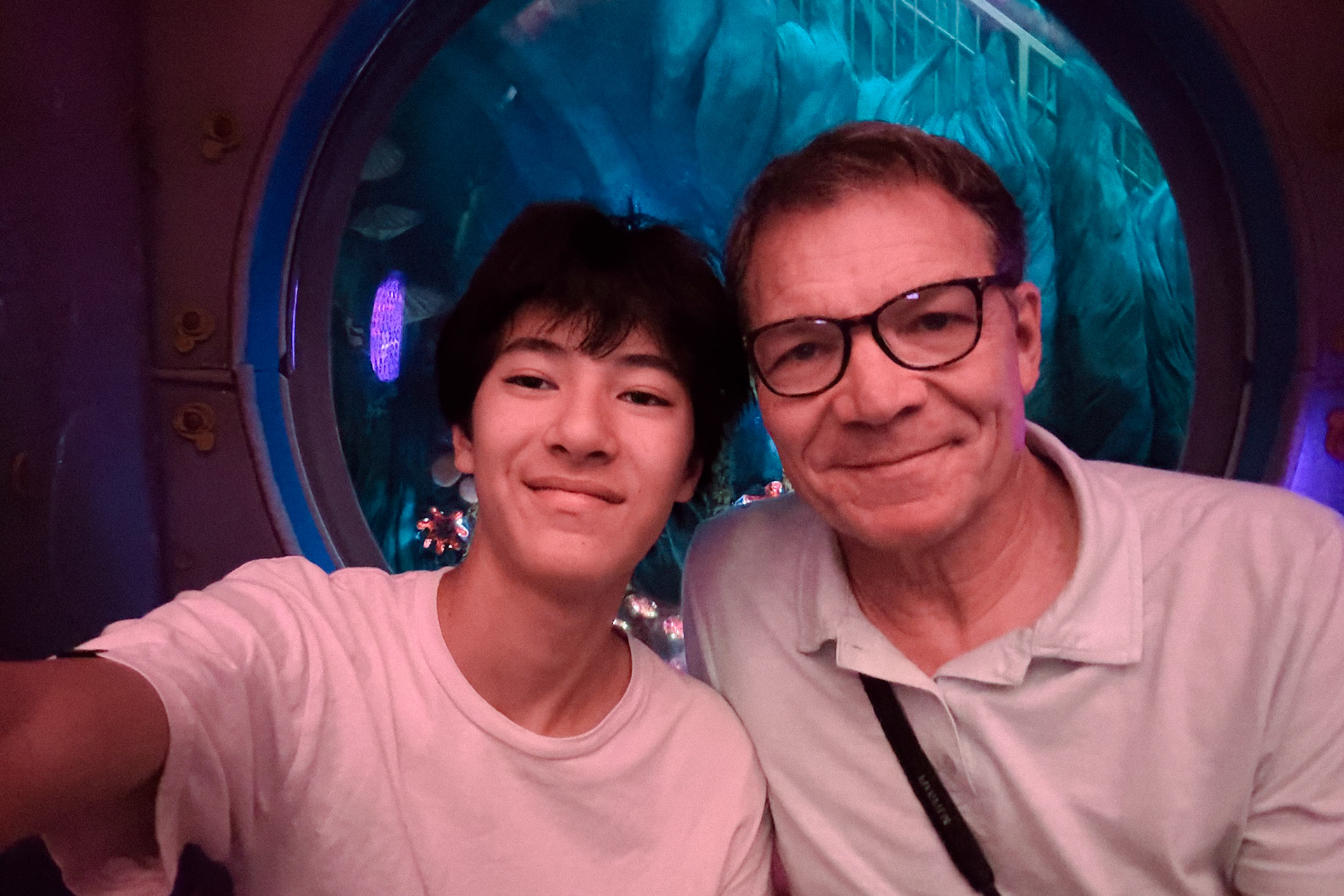 Meow Wolf