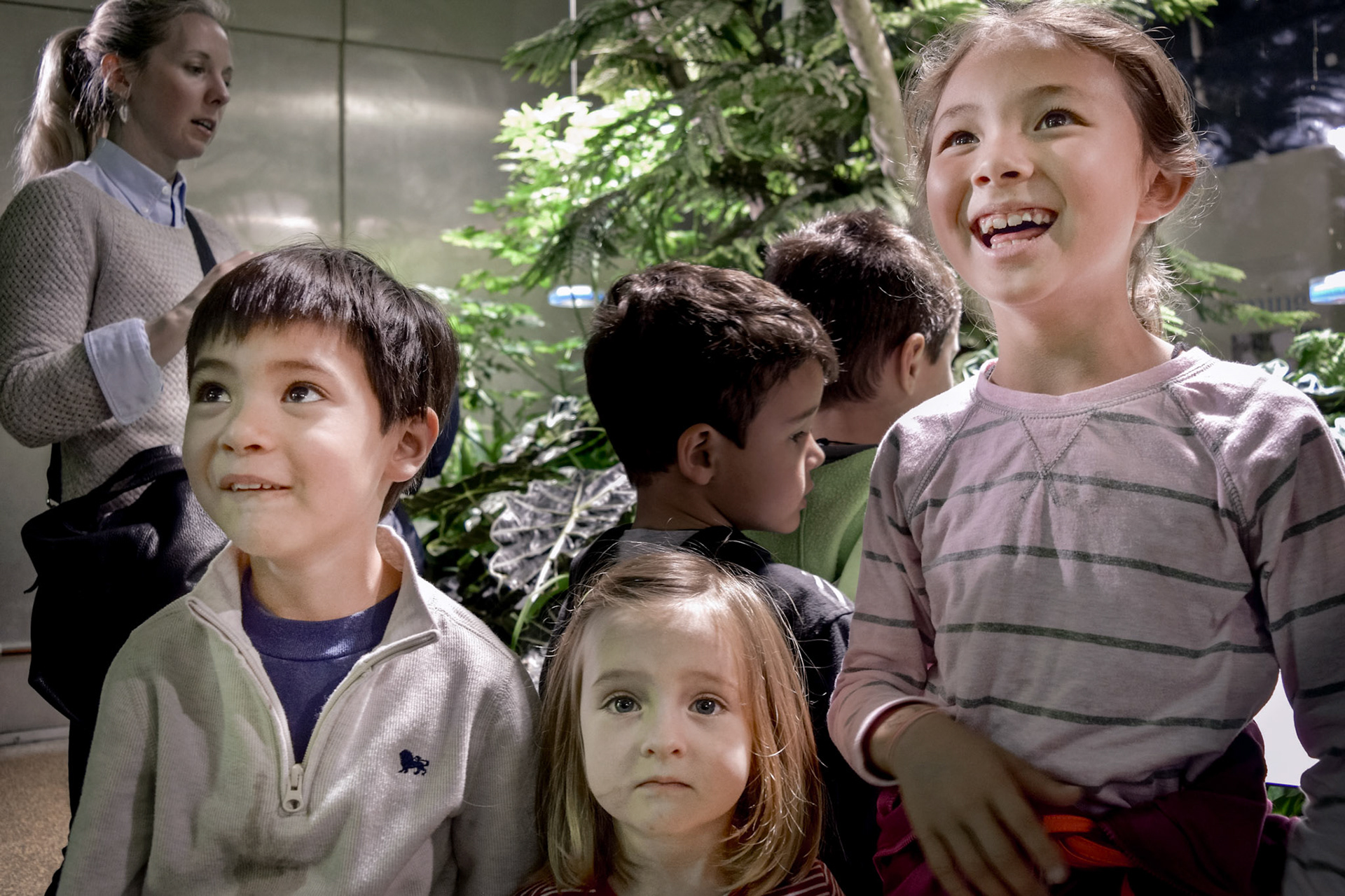 Butterfly Room, Museum of Natural History, NYC – Version 2