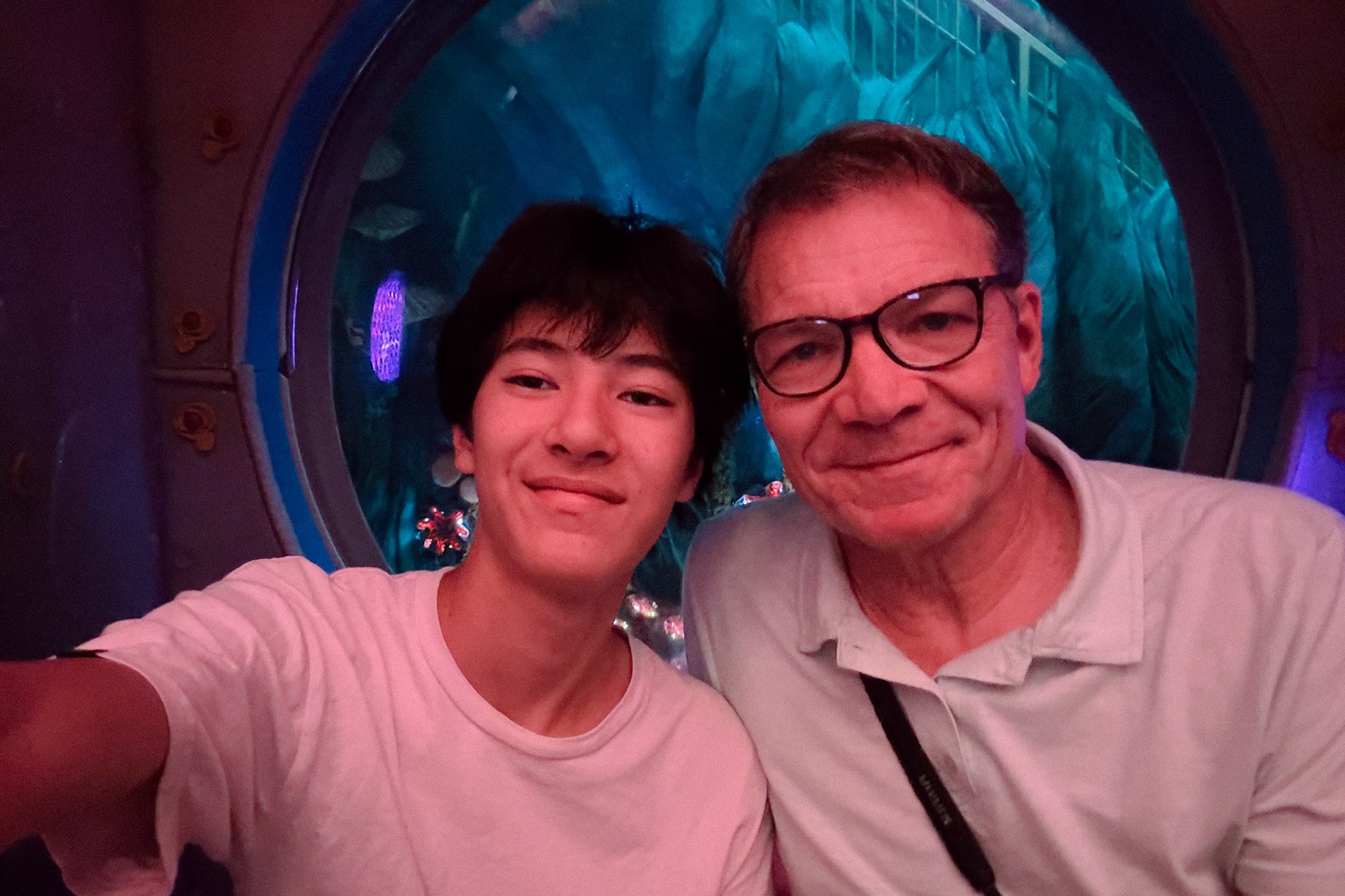 Meow Wolf