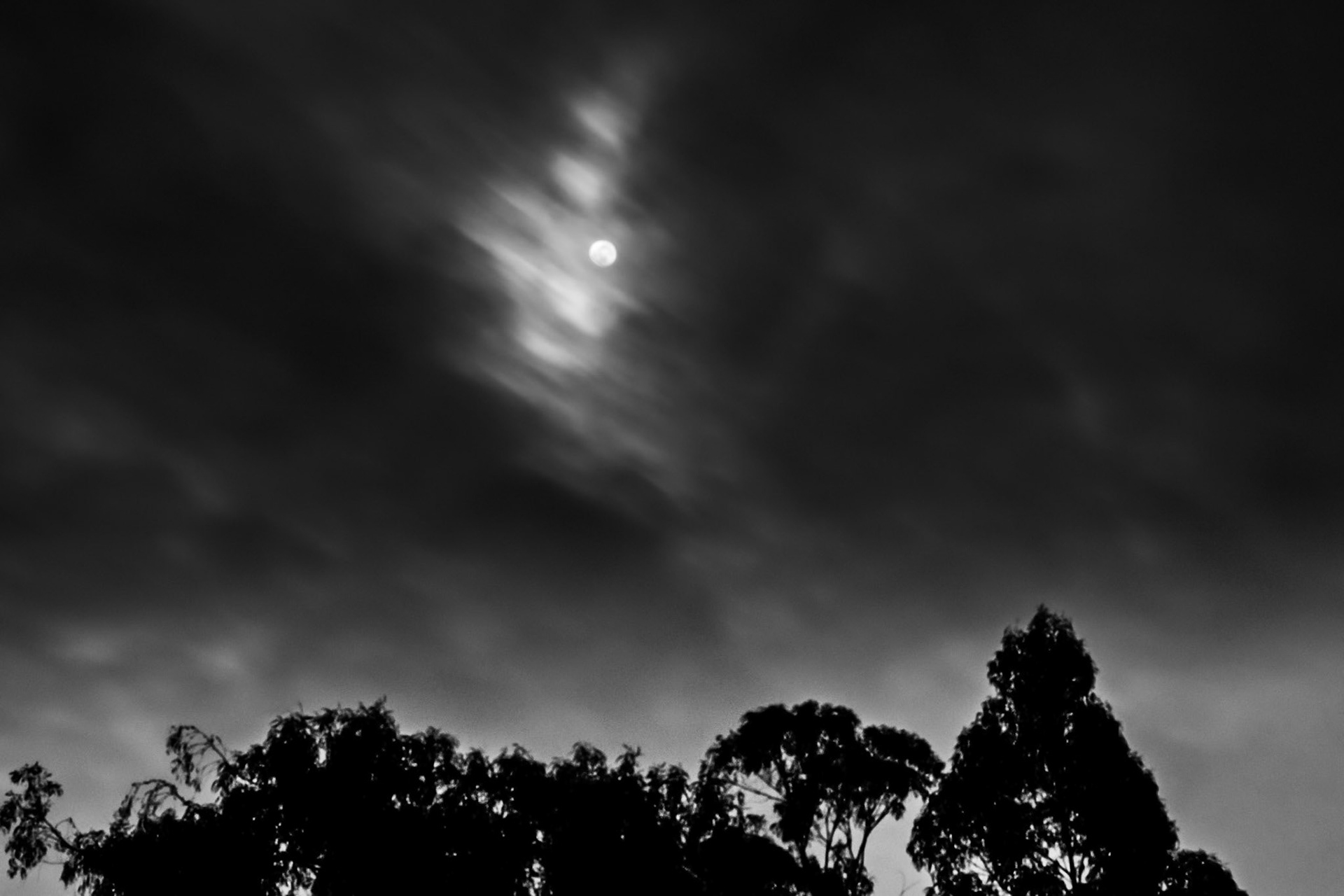 Howling Moon