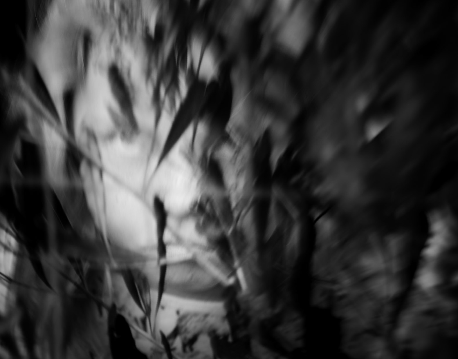 Tati In the Weeds