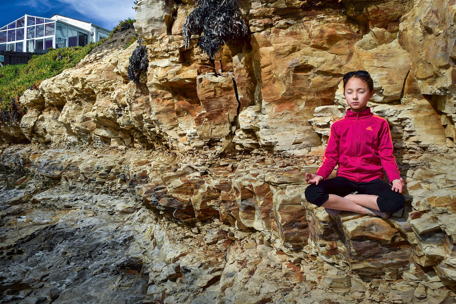 The Meditator