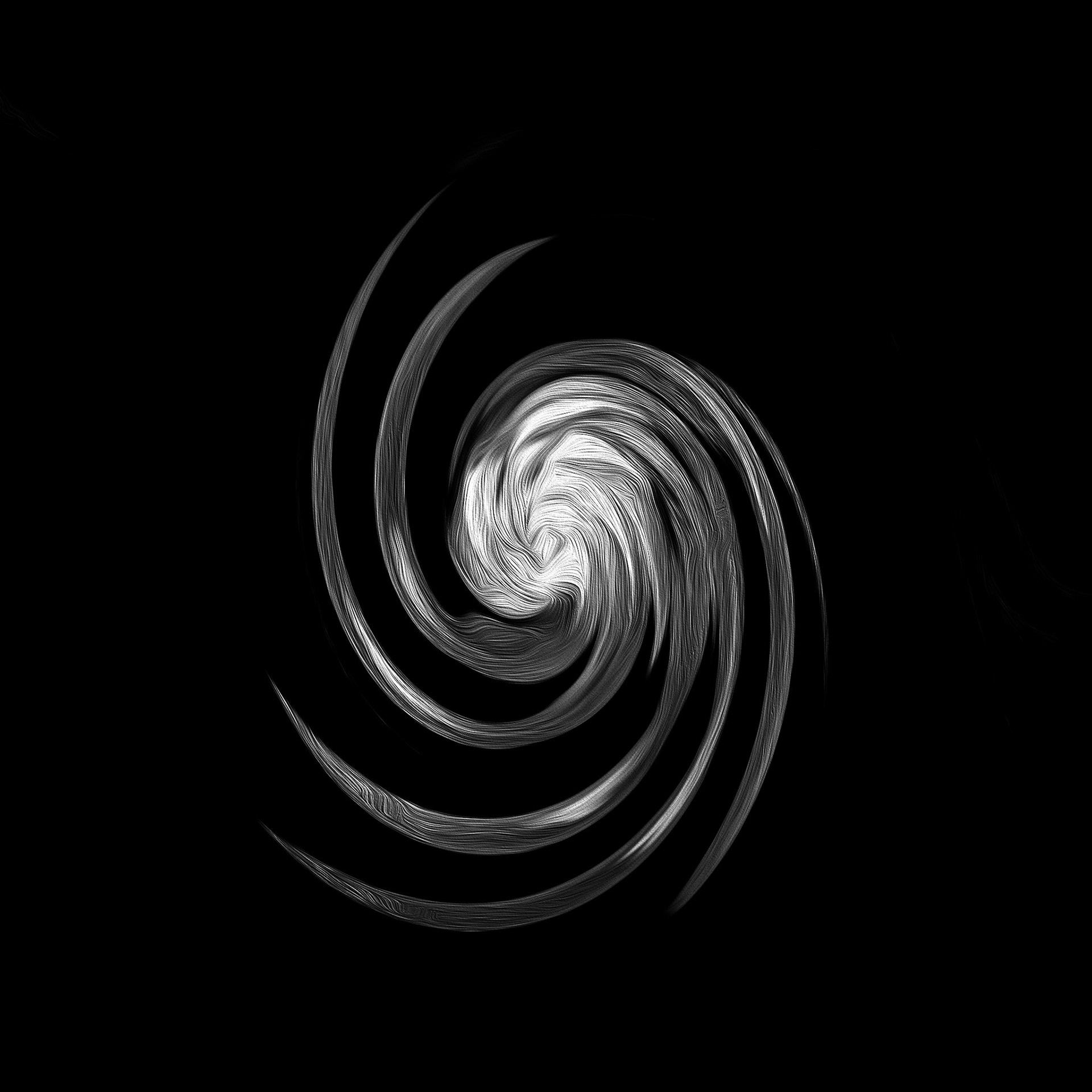 Embryo