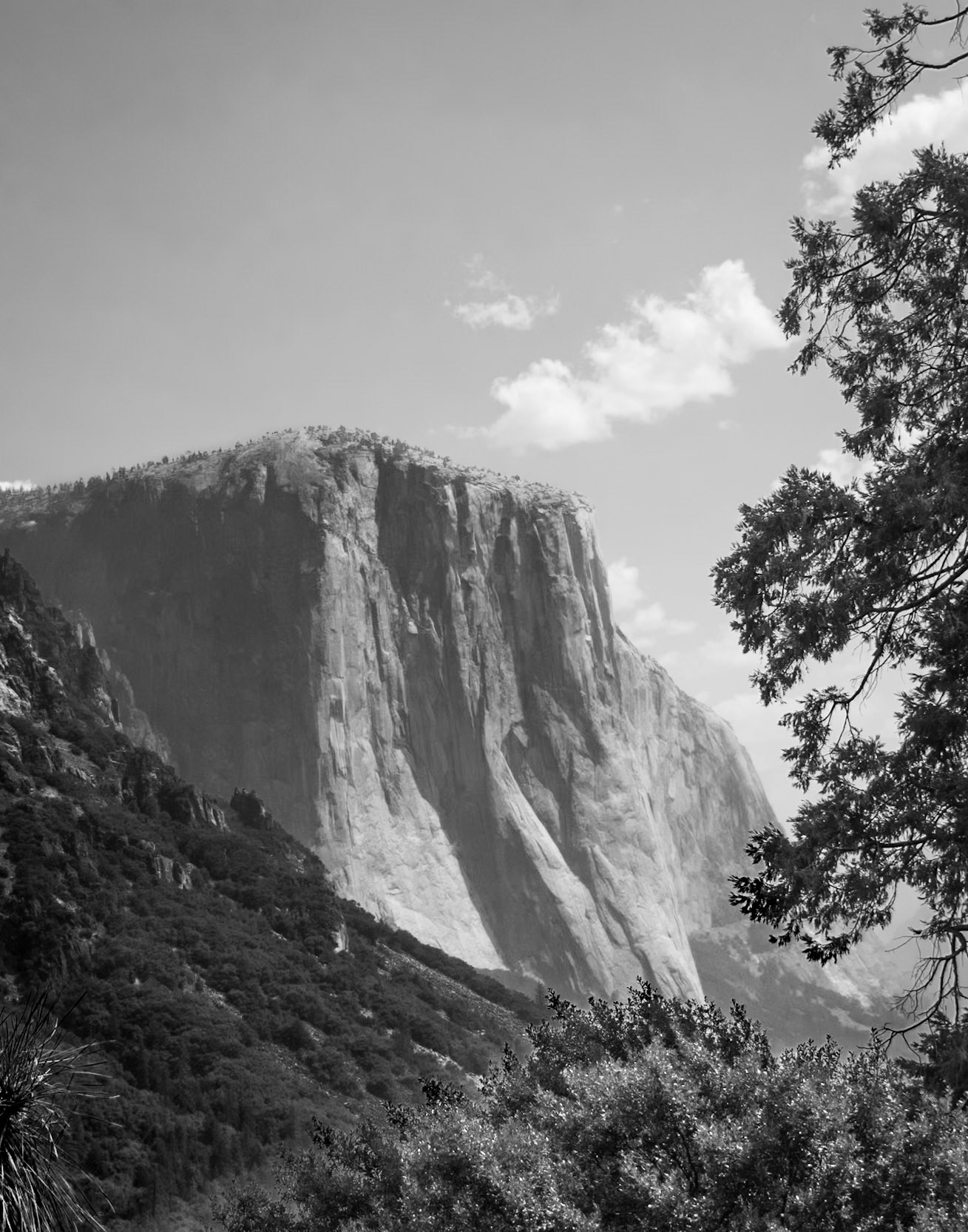 El Capitan | Yosemite National Park
