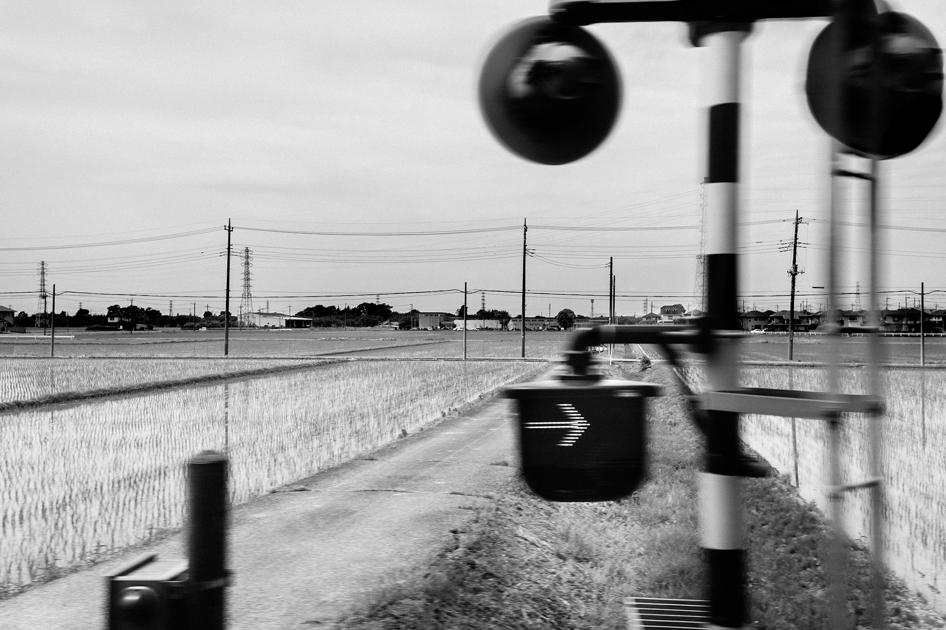 Rice Fields at the Crossing