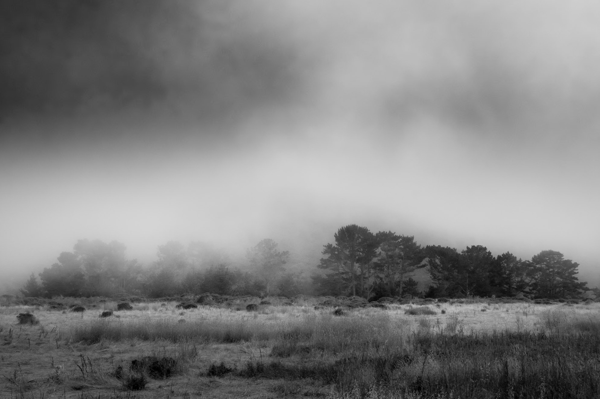 Point Reyes National Seashore