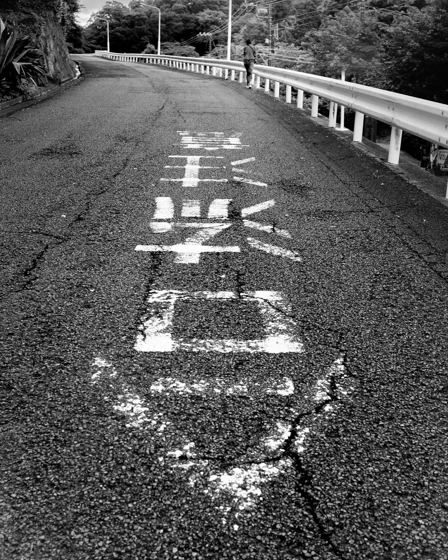 Painted Road