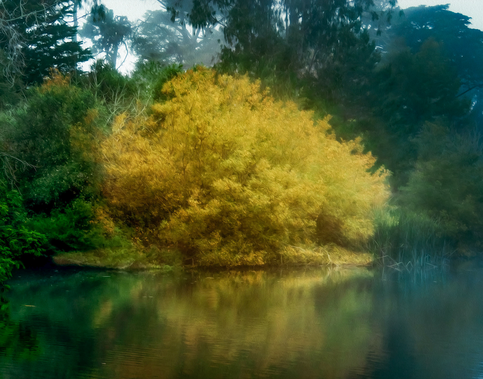 Lower Lake, Golden Gate Park