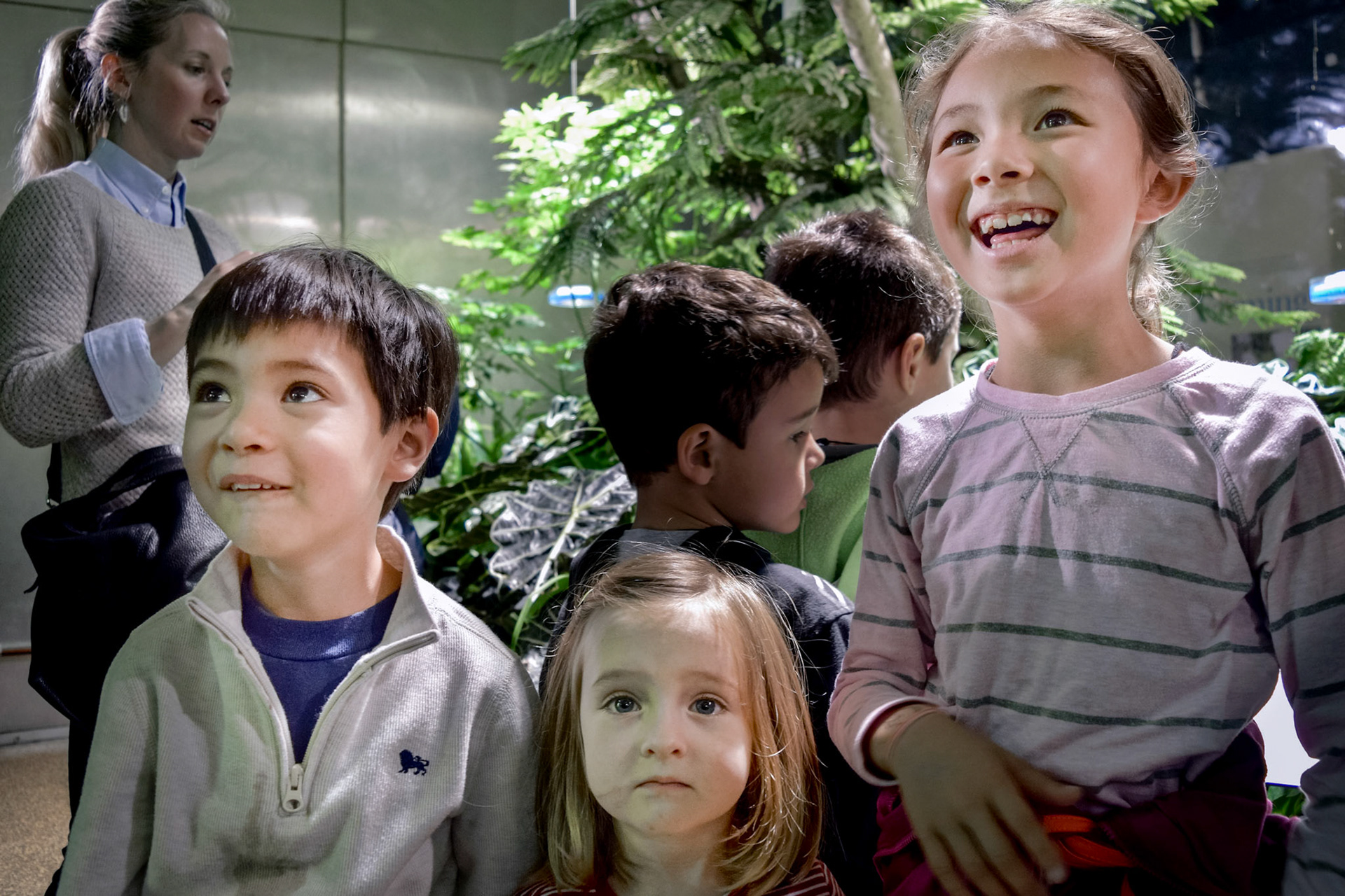 Butterfly Room, Museum of Natural History, NYC – Version 2