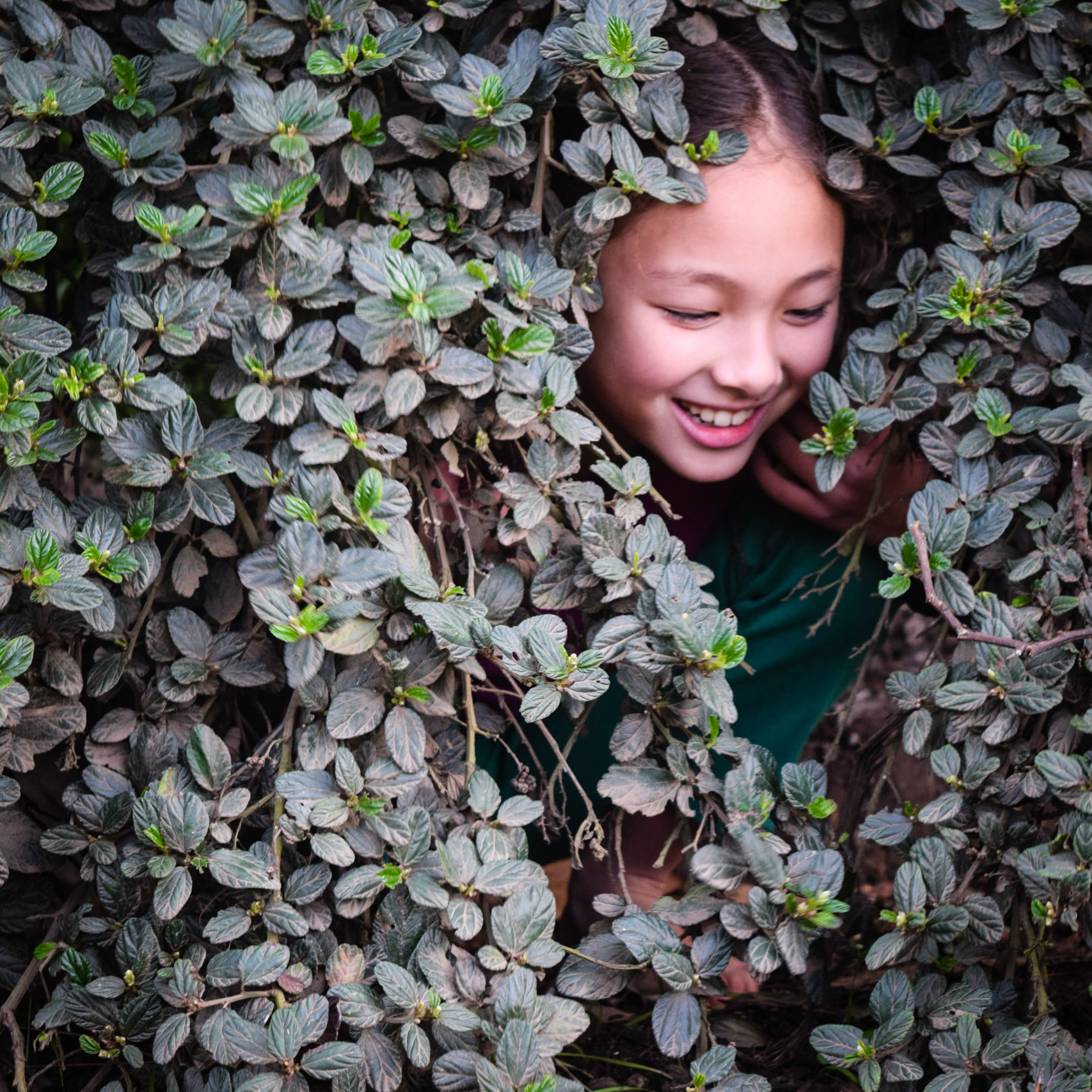 Lia in the Leaves