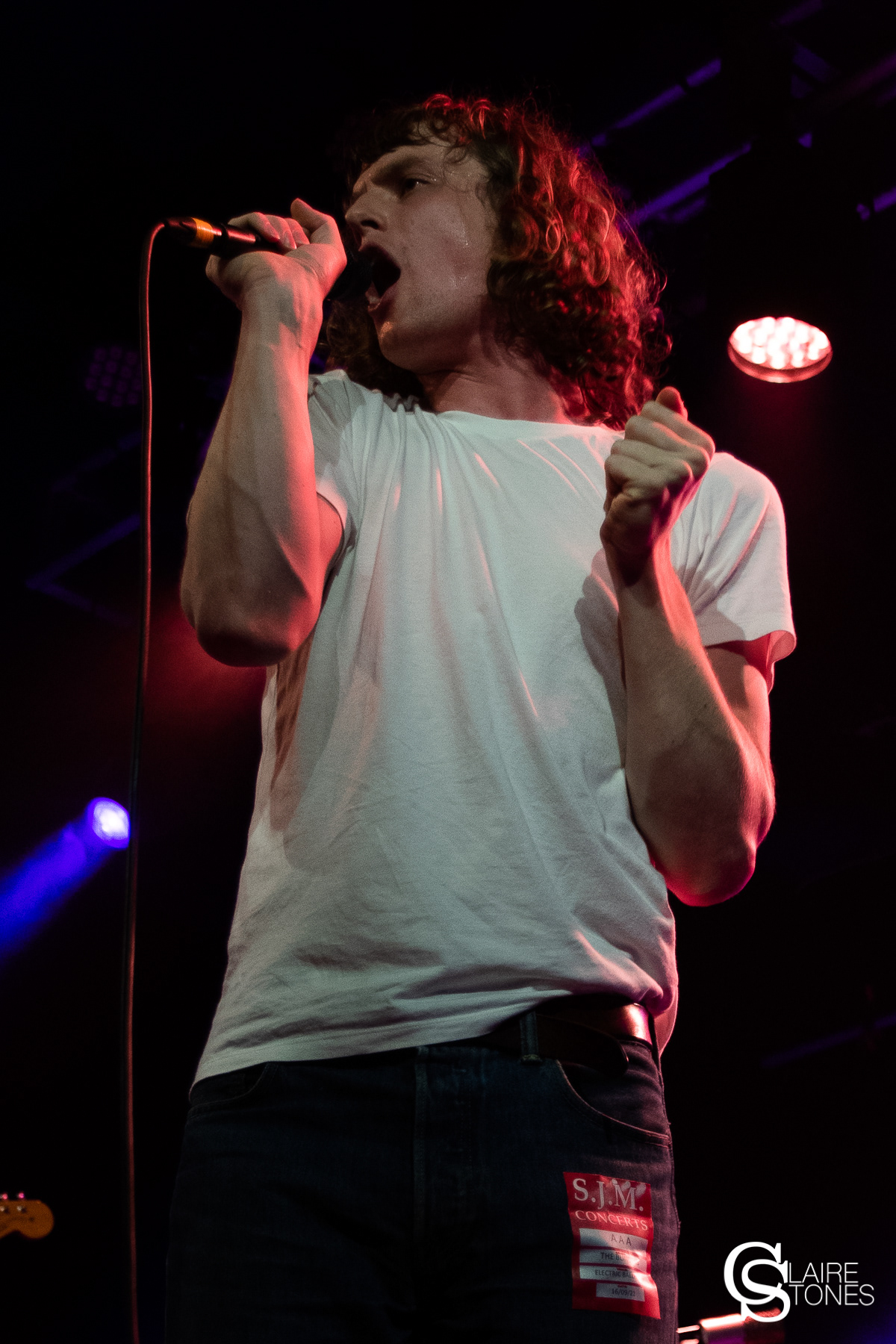 Tom Rees - Buzzard Buzzard Buzzard