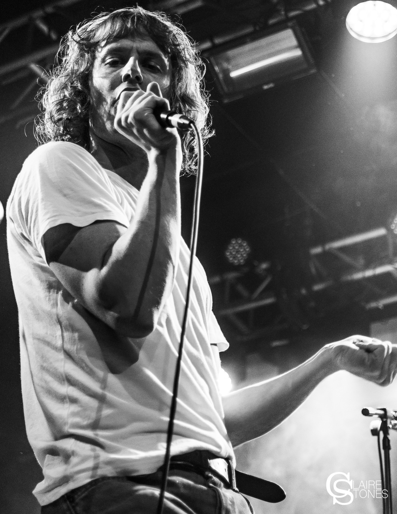 Tom Rees - Buzzard Buzzard Buzzard