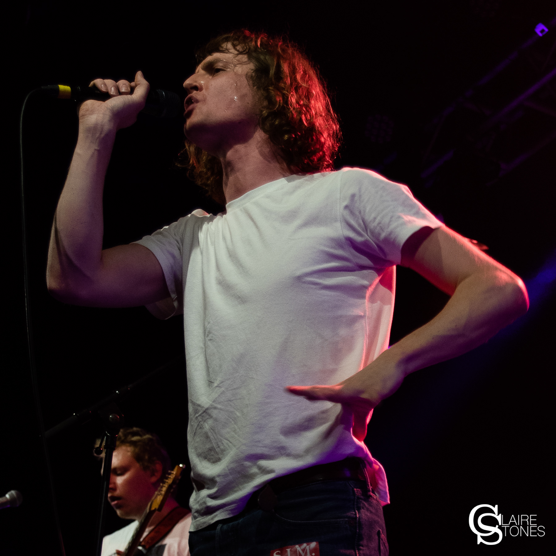 Tom Rees - Buzzard Buzzard Buzzard