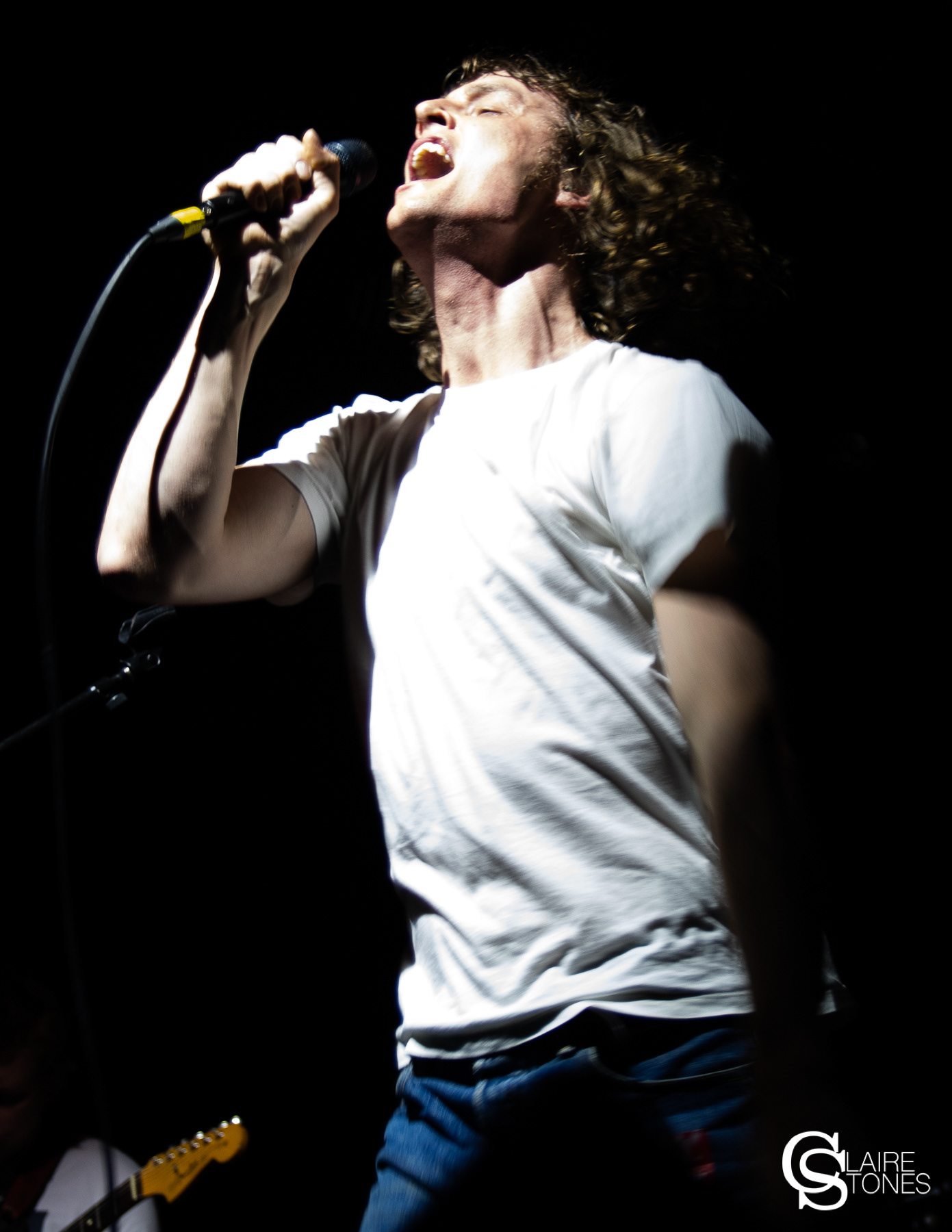 Tom Rees - Buzzard Buzzard Buzzard