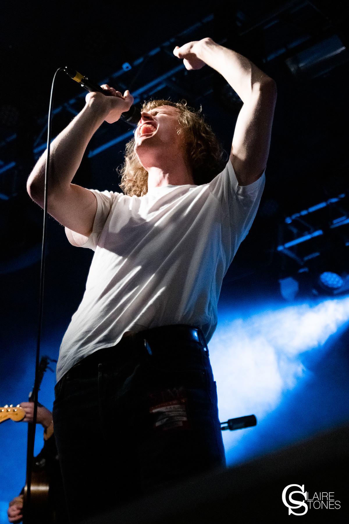 Tom Rees - Buzzard Buzzard Buzzard