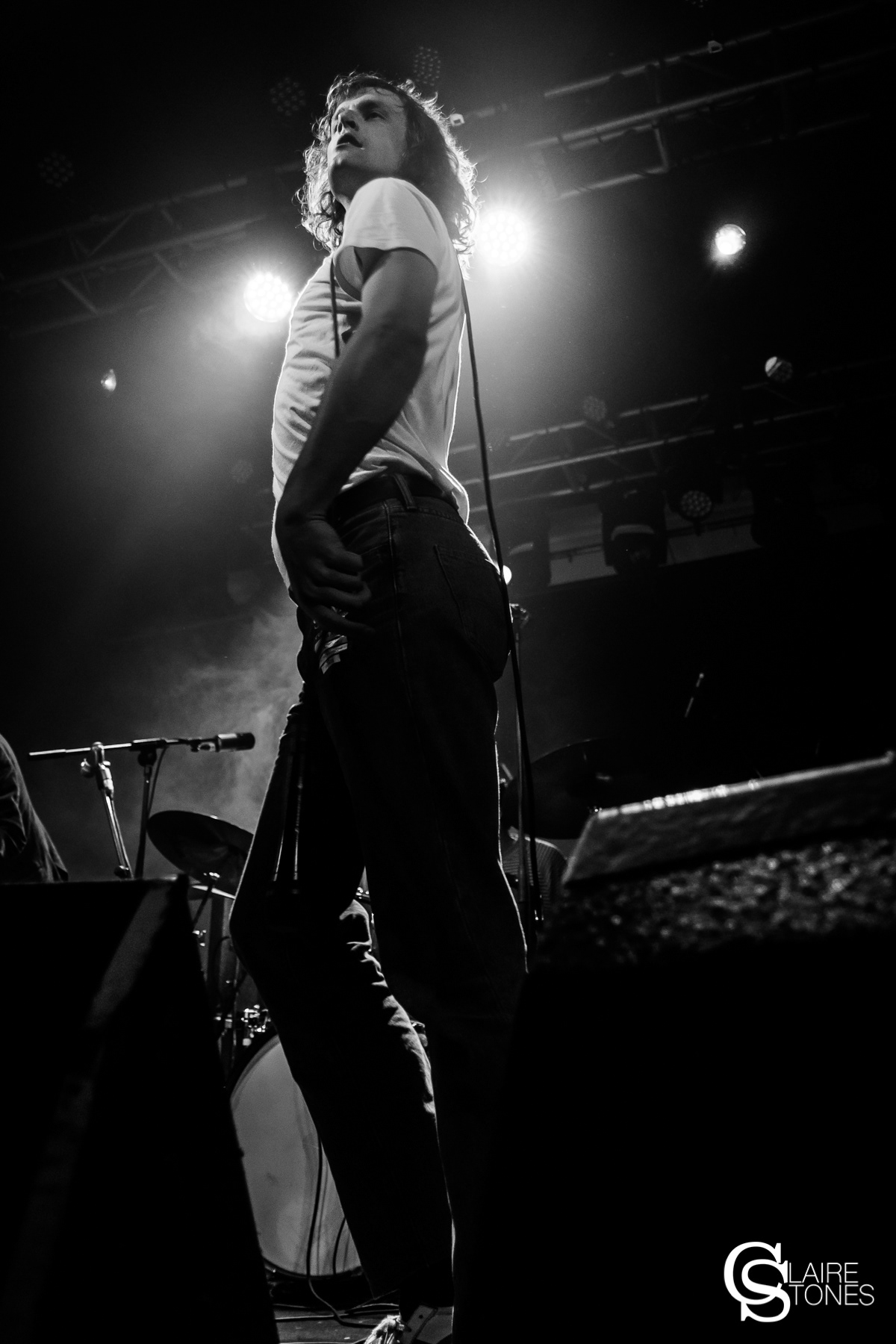 Tom Rees - Buzzard Buzzard Buzzard