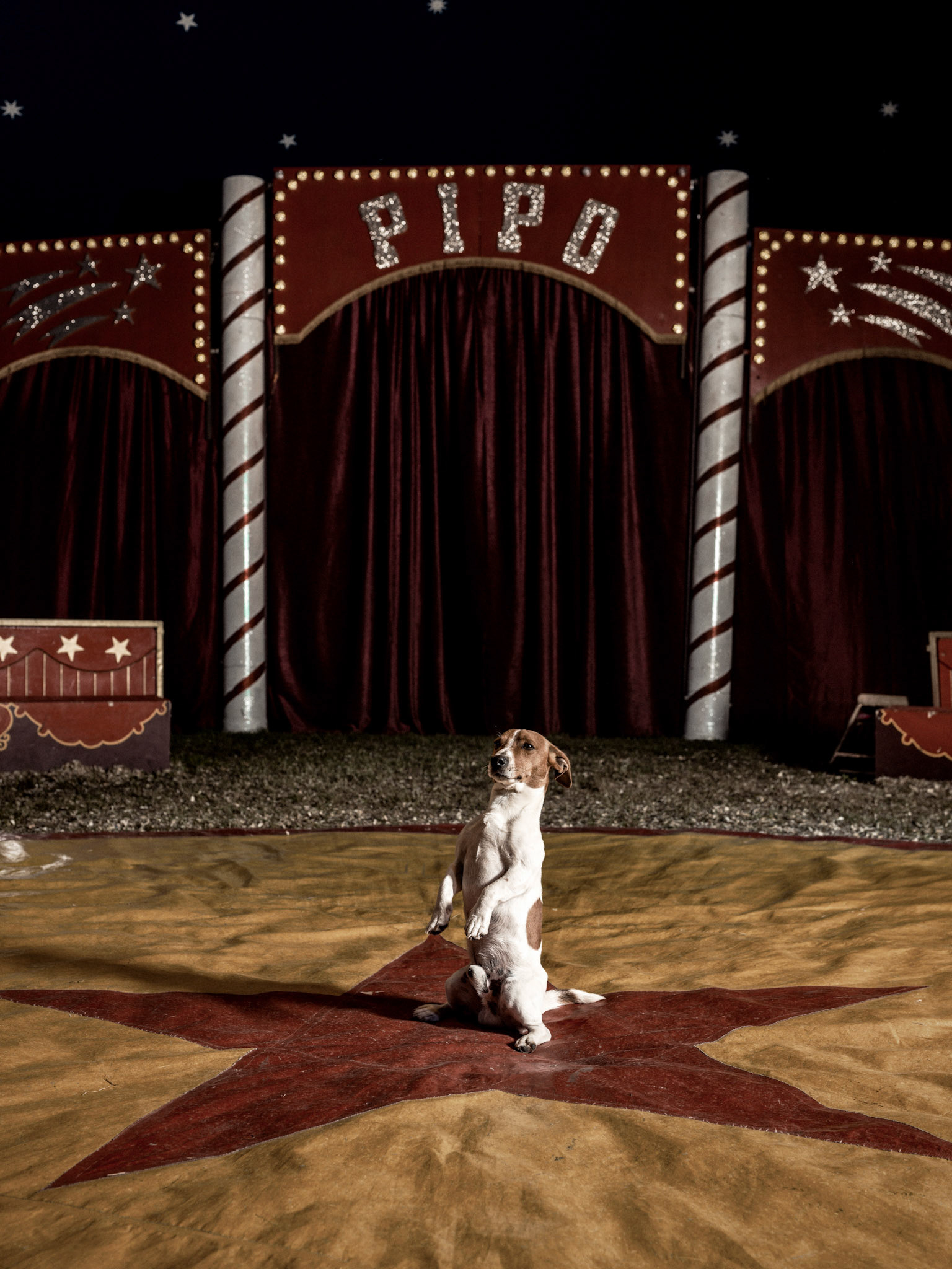 Circus Pipo