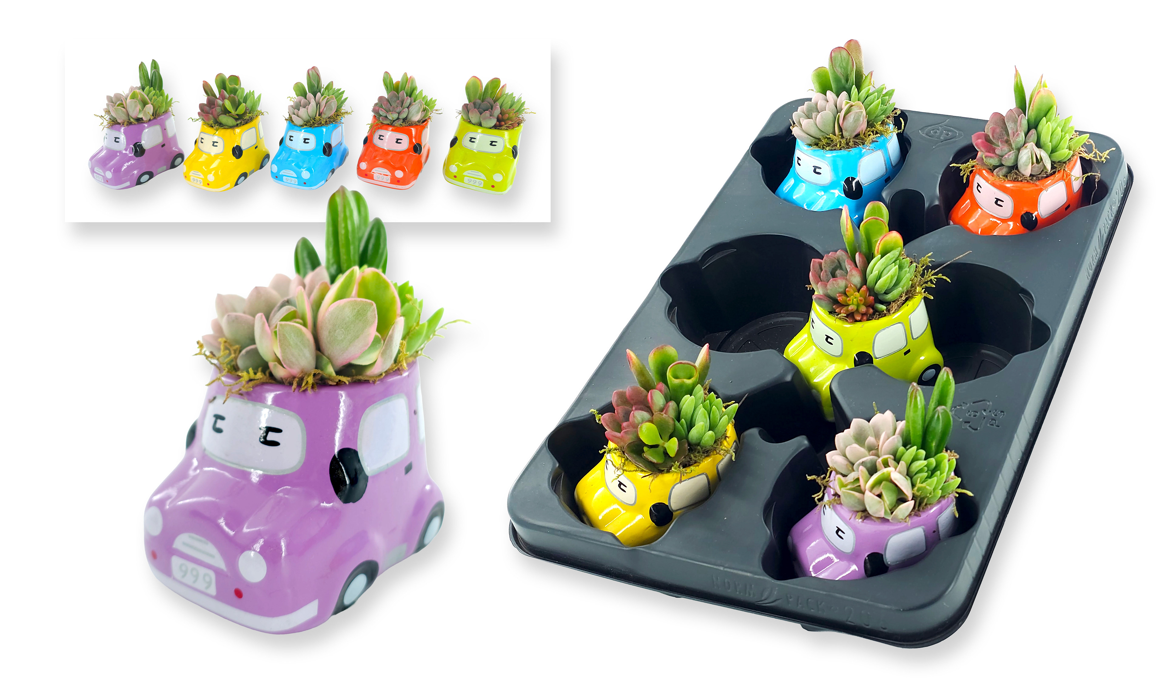 Cars