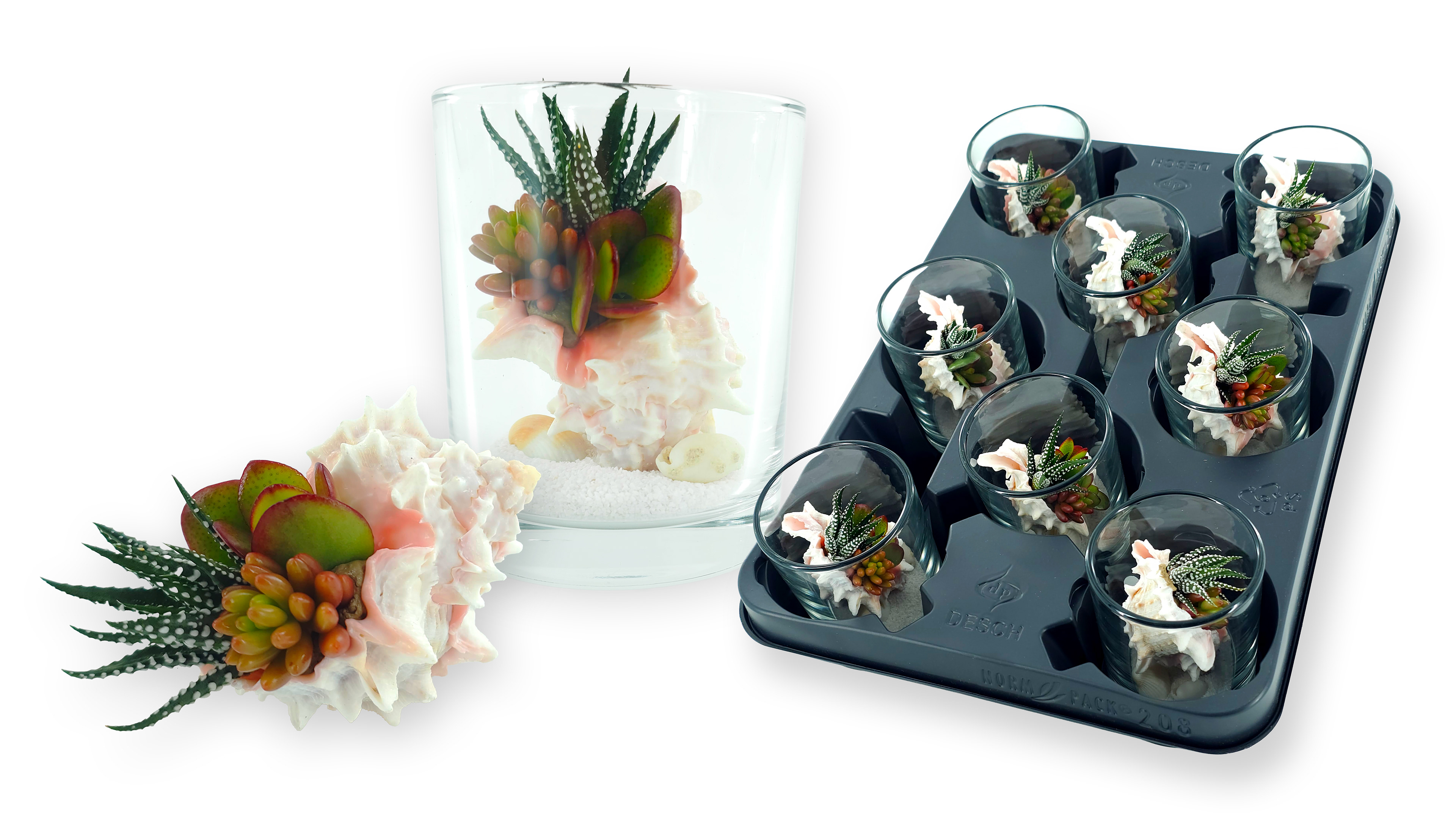 Murex Endiva Arrangement