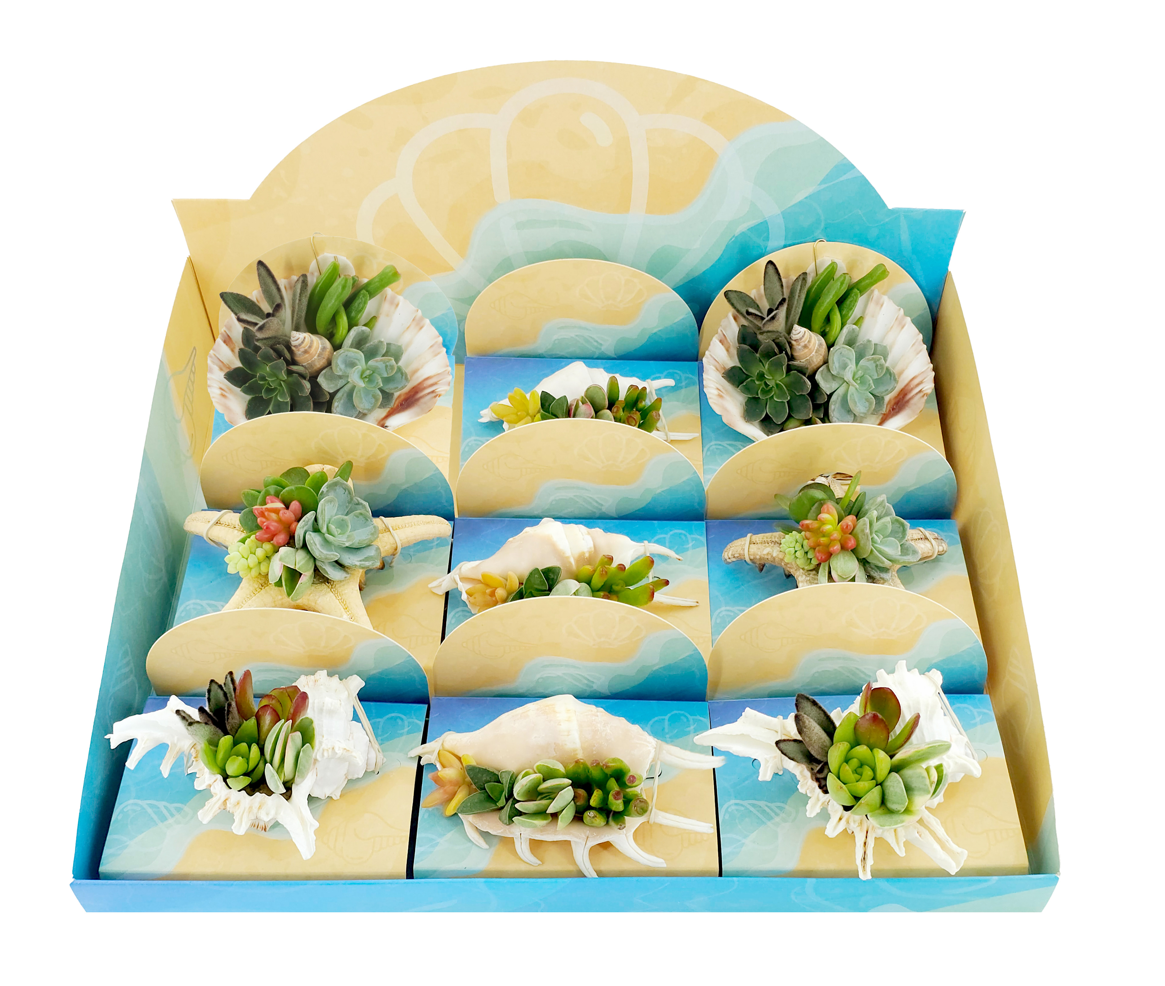 Shell Display M