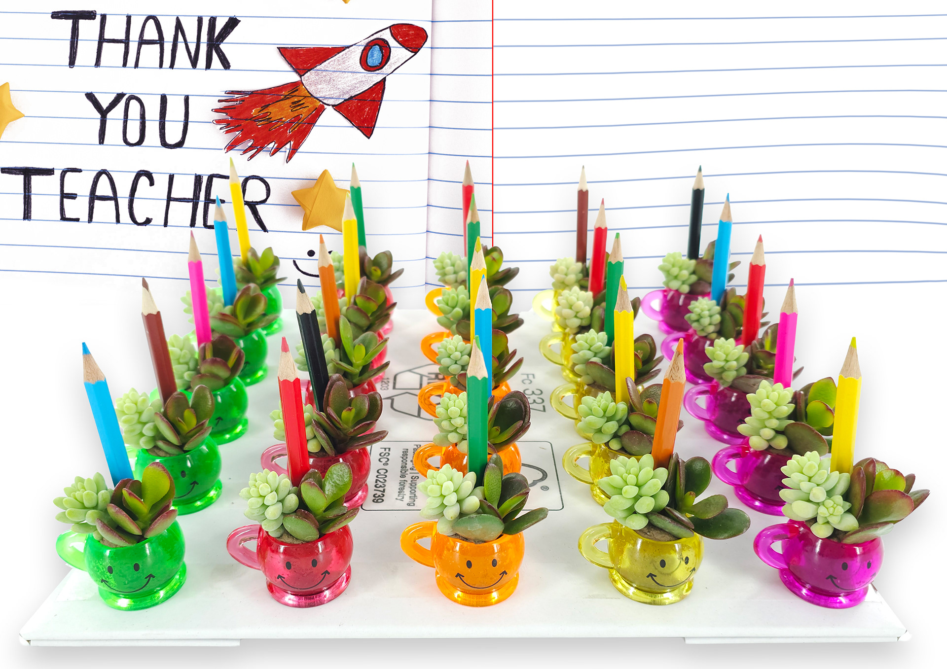 Thank You Teacher