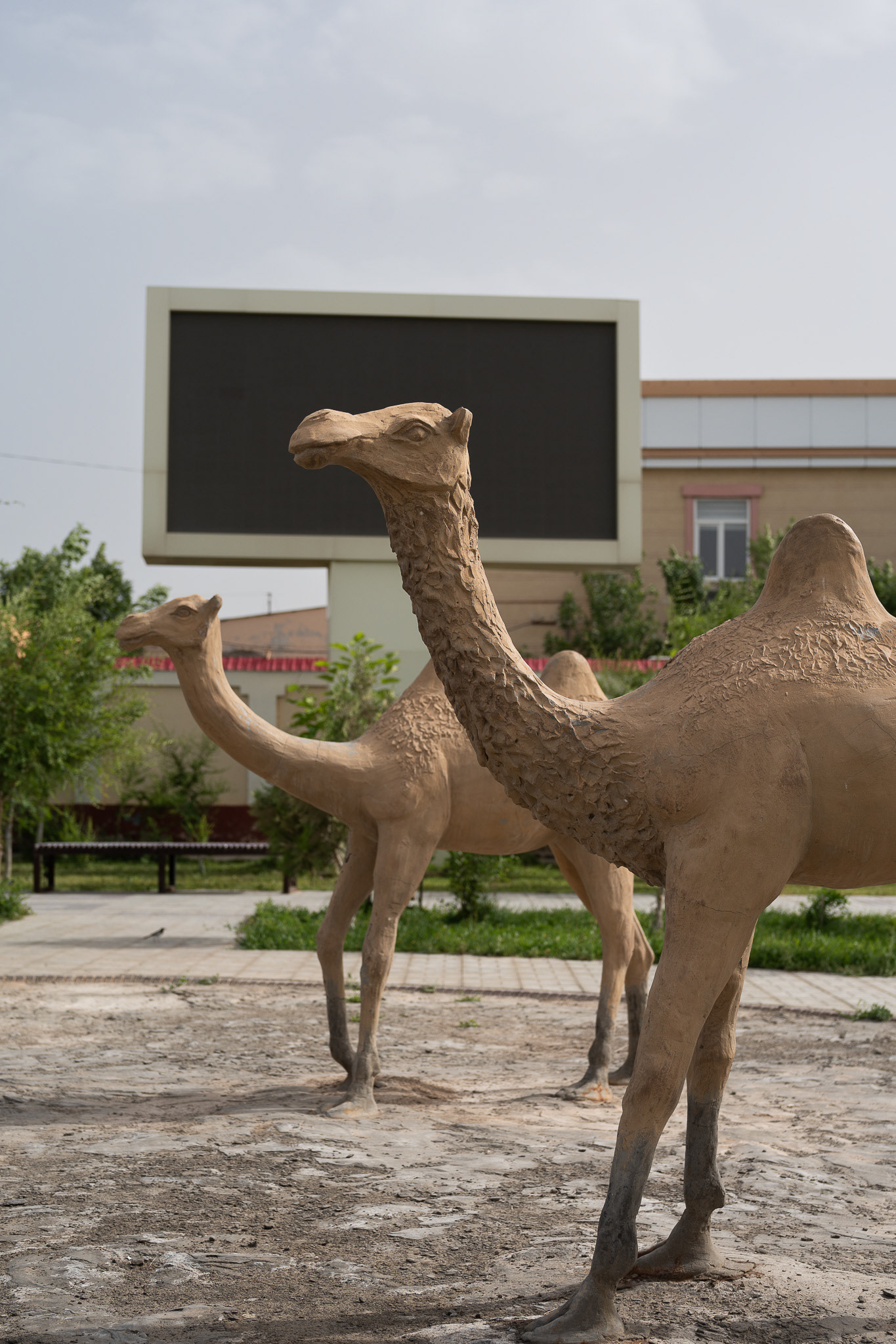 Devant le musée, des statues représentent le chameau de Bactriane, un animal répandu en Asie Centrale