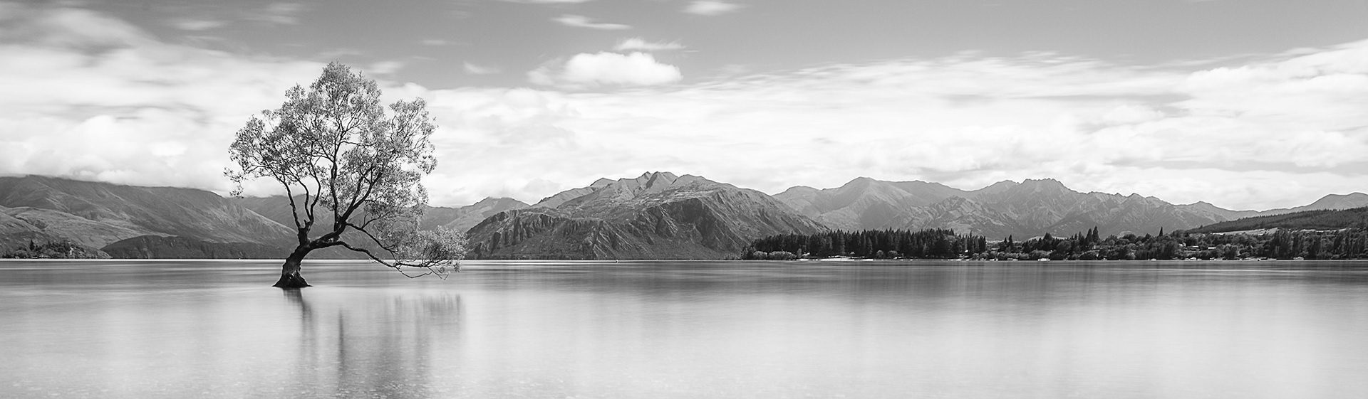 1-4-Albrecht-Philippe-Baum-Neuseeland-P