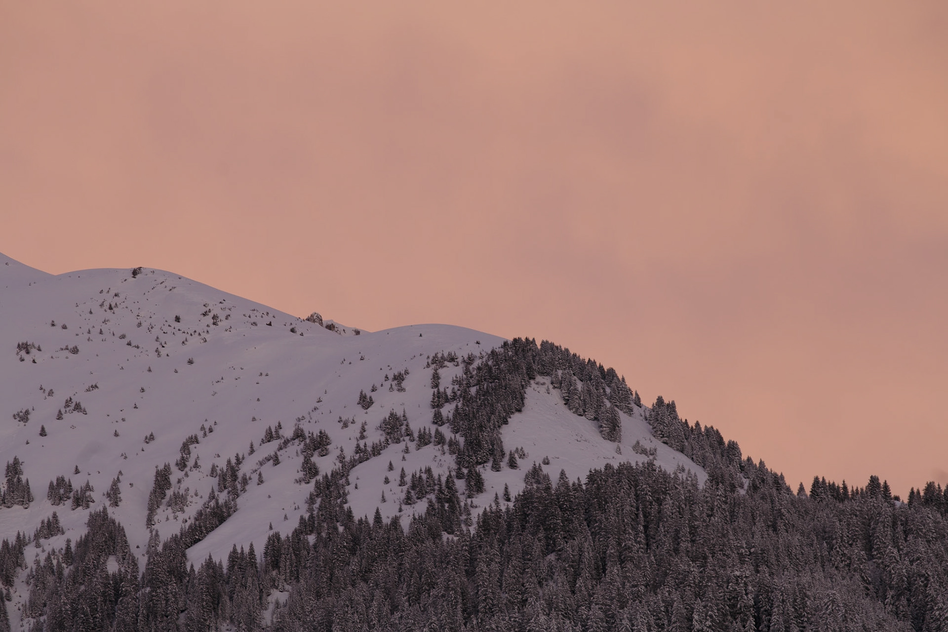 Schneebedeckter Berg mit Wald und rosa Himmel bei Sonnenuntergang