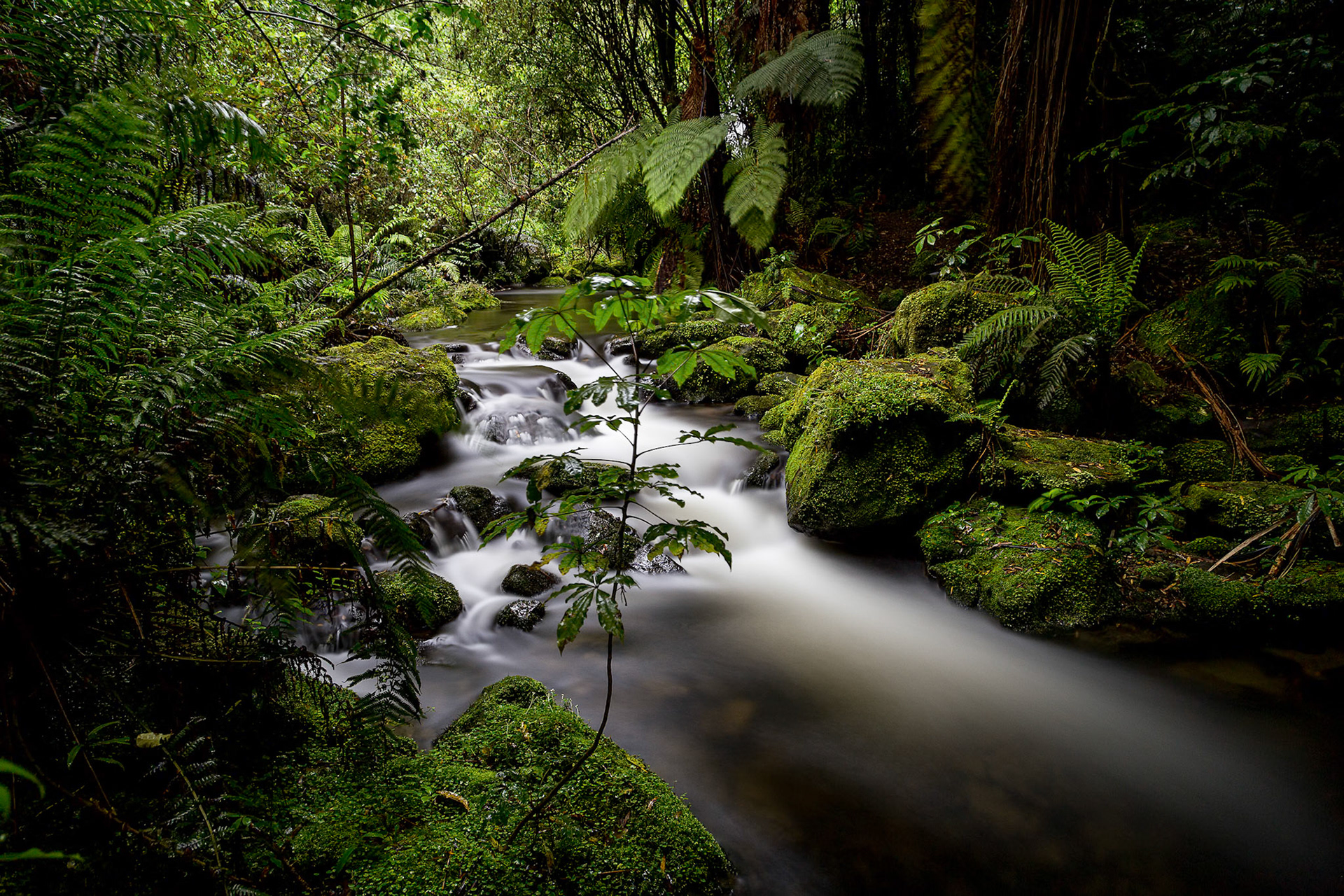 1-2-Albrecht-Philippe-Bach-Neuseeland