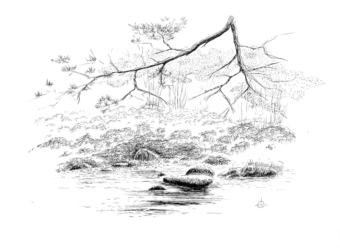 "Rives du Léguer"     Fineliner sur Bristol 30 x 40