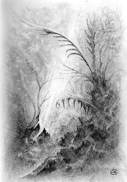 Brocéliande Blackwing 602 15 x 20