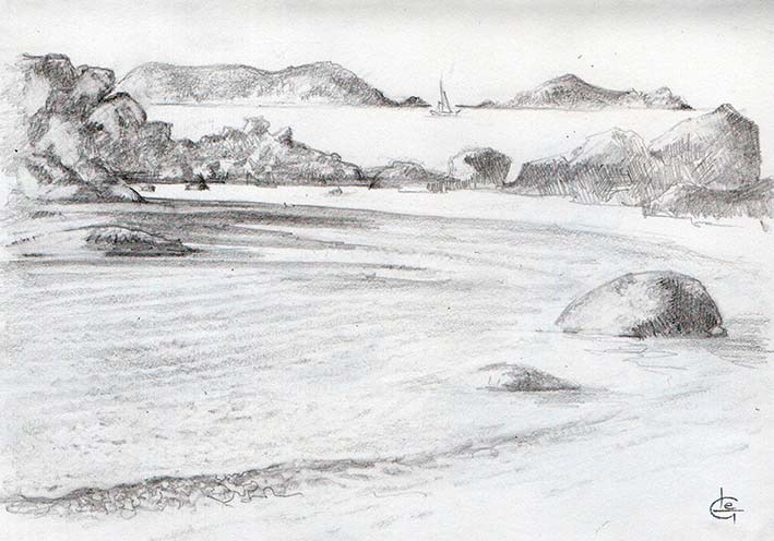 Les Sept-Îles Blackwing 602 15 x 20