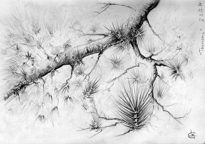 Pins à Tourony Blackwing 602 15 x 20