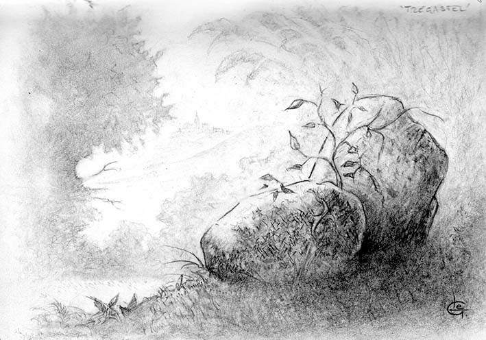 Trégastel Blackwing 602 15 x 20