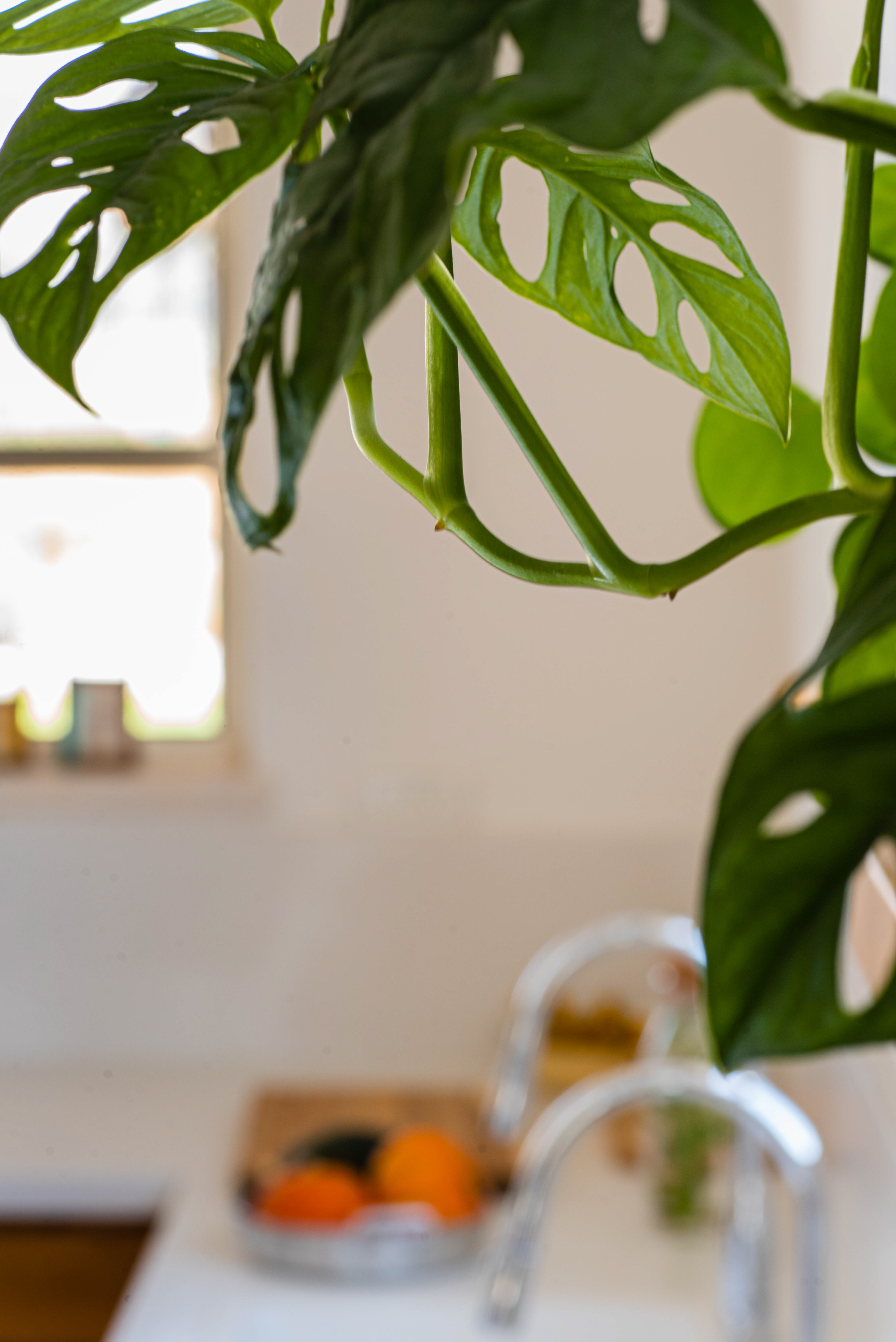 ‎רות ולבנה. אדריכלות ועיצוב פנים