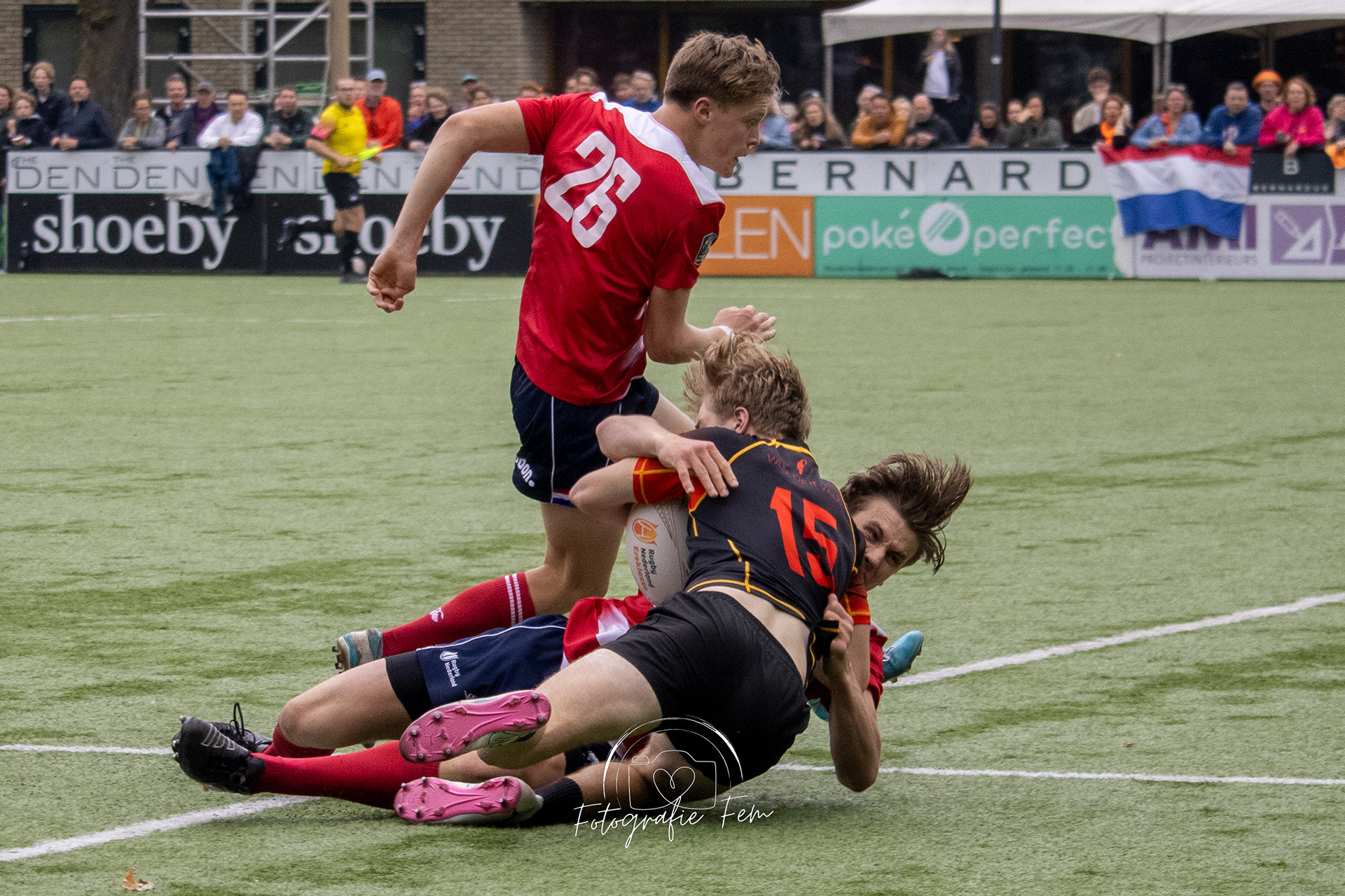 O17NED01062024-121