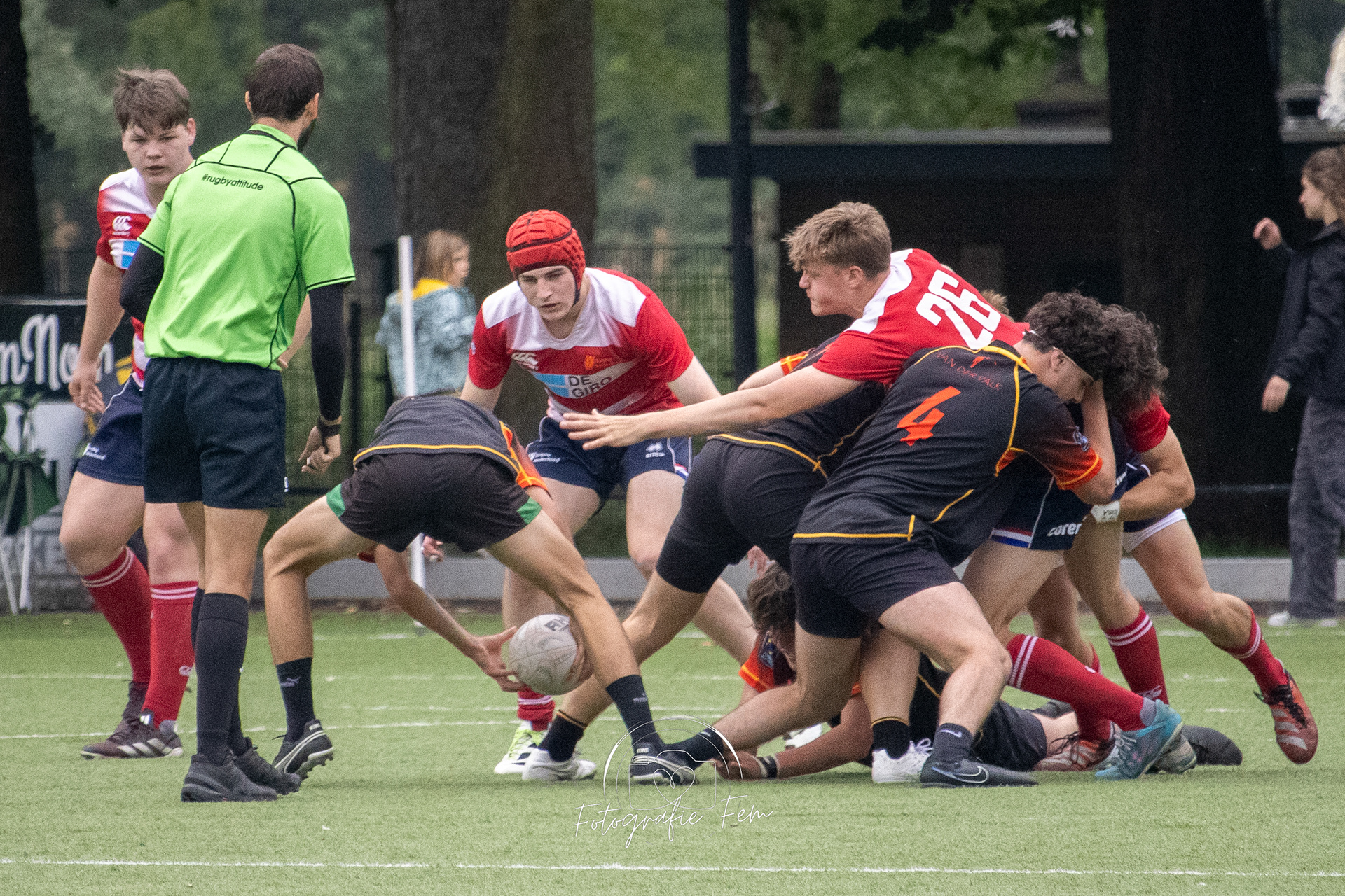 O17NED01062024-38