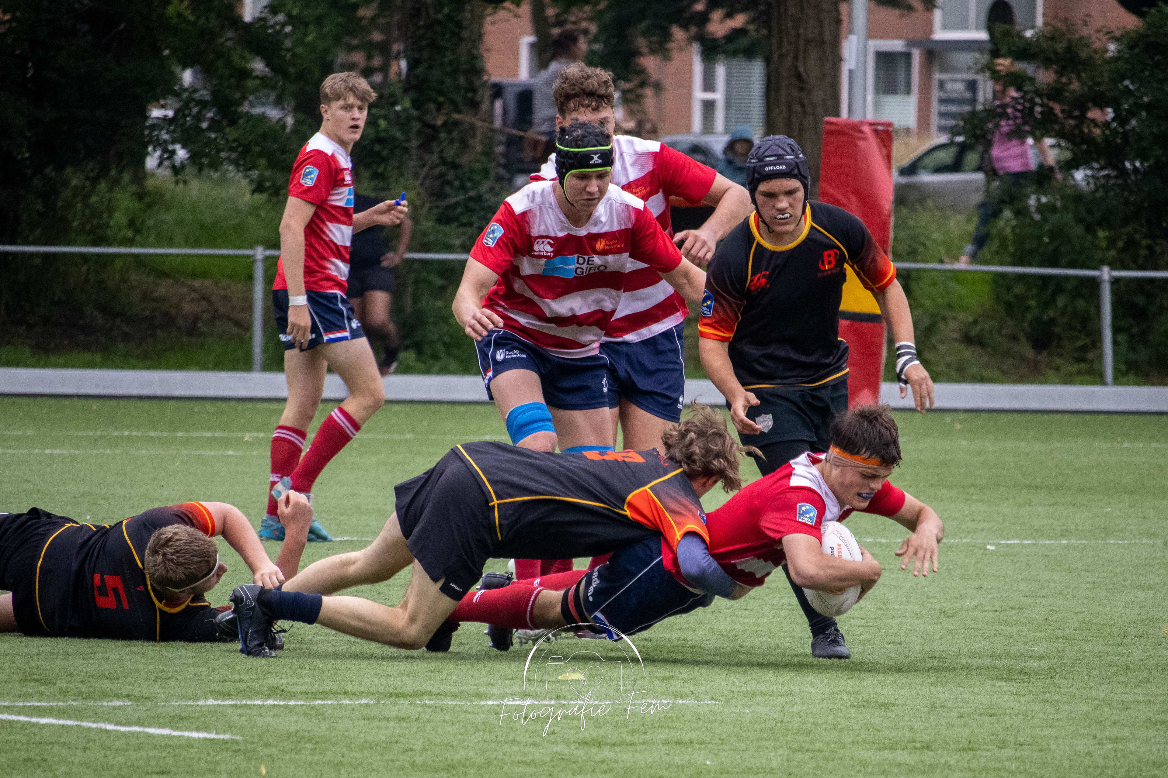 O17NED01062024-114