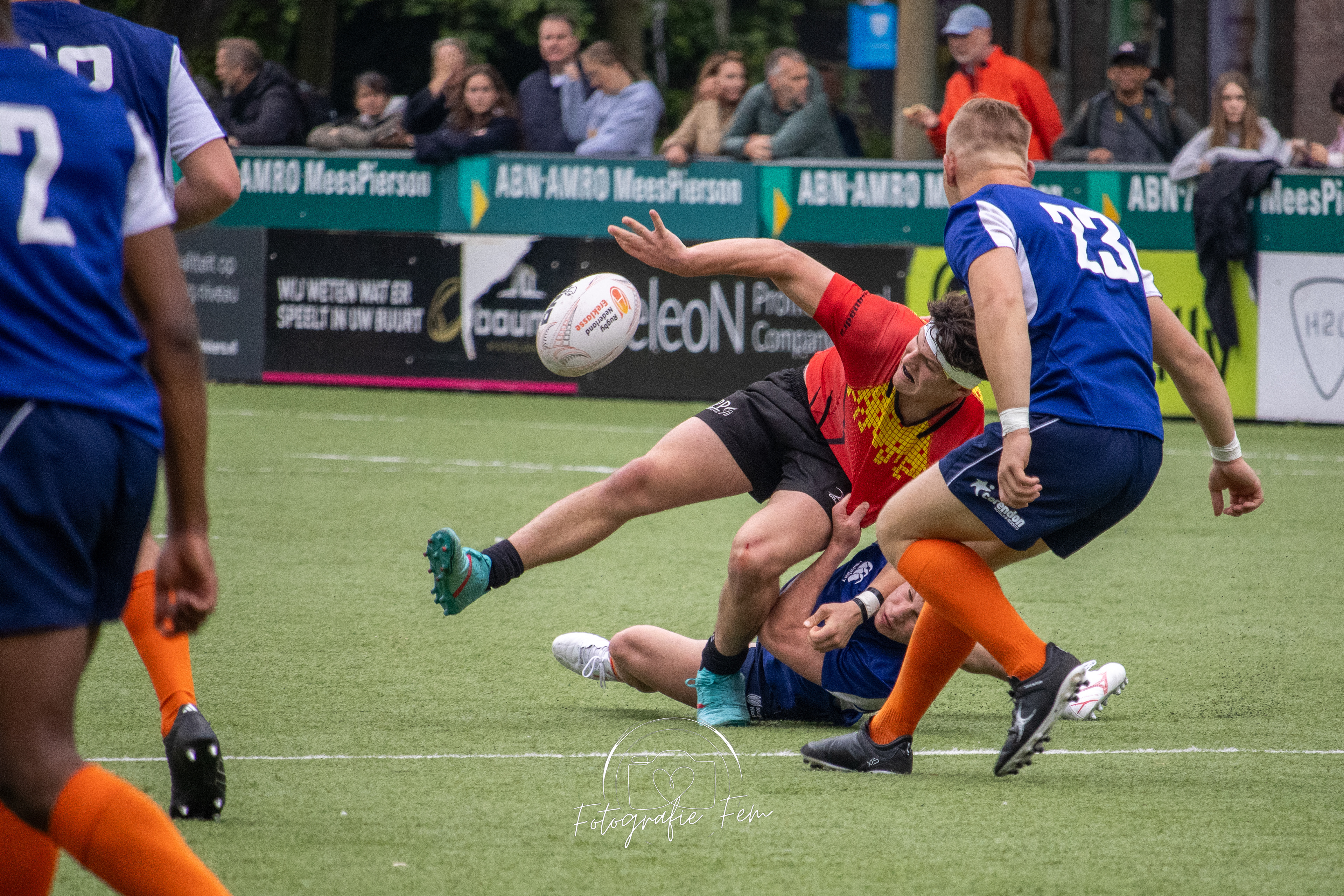 O16NED01062024-9