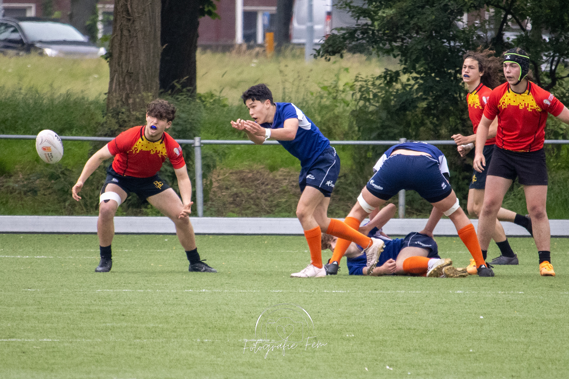 O16NED01062024-1