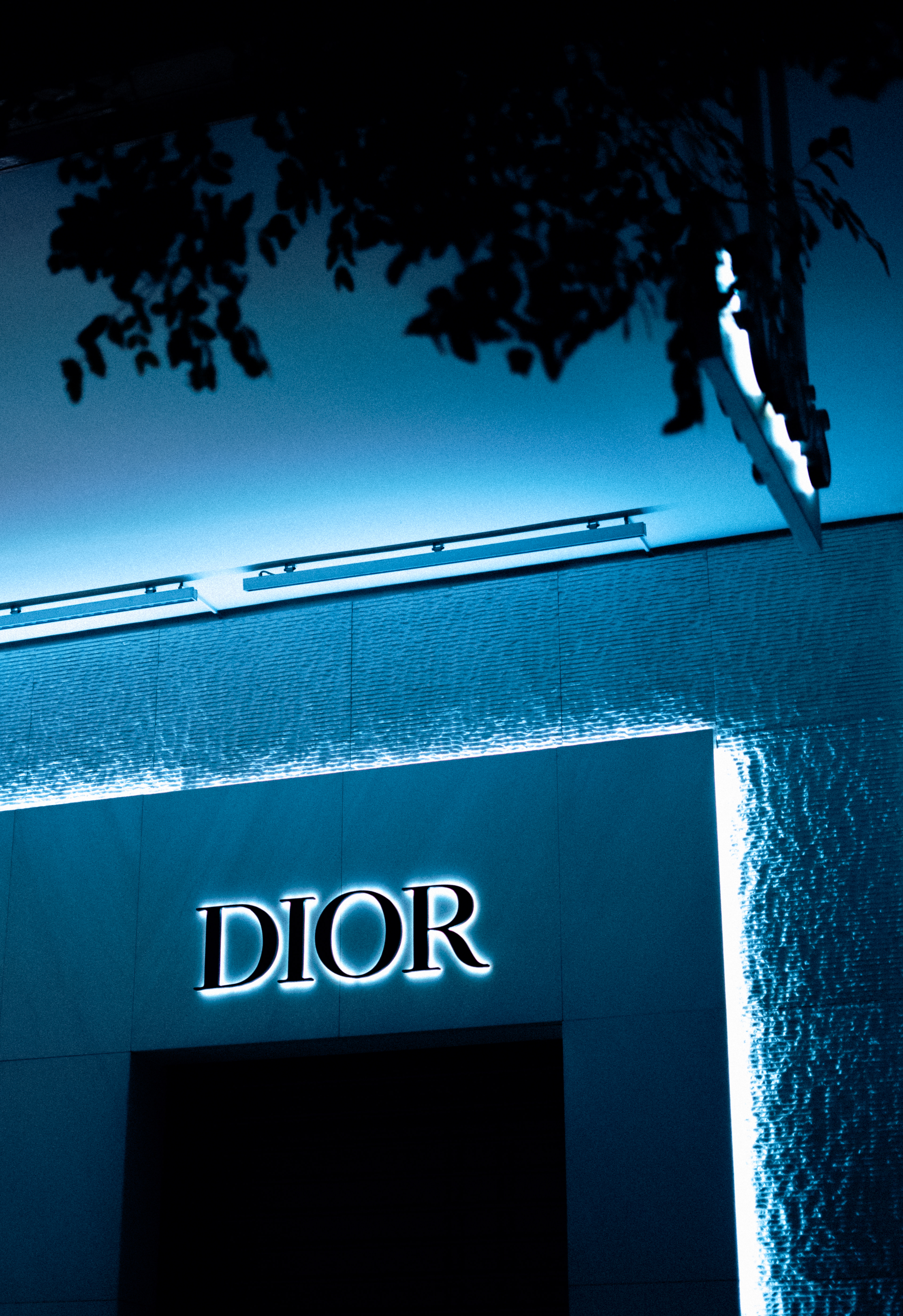 DIOR