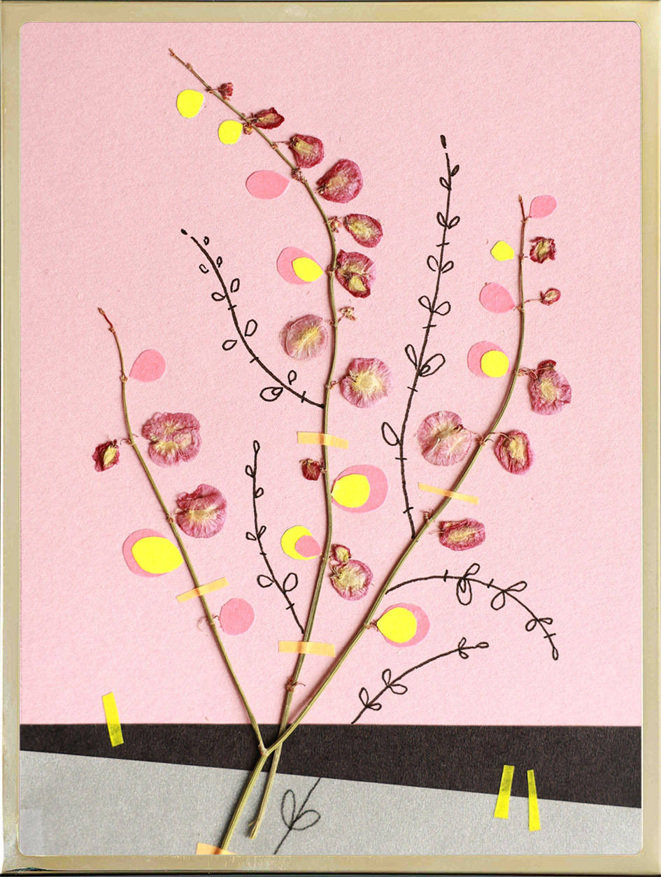 Sauerampfer 10x15 cm