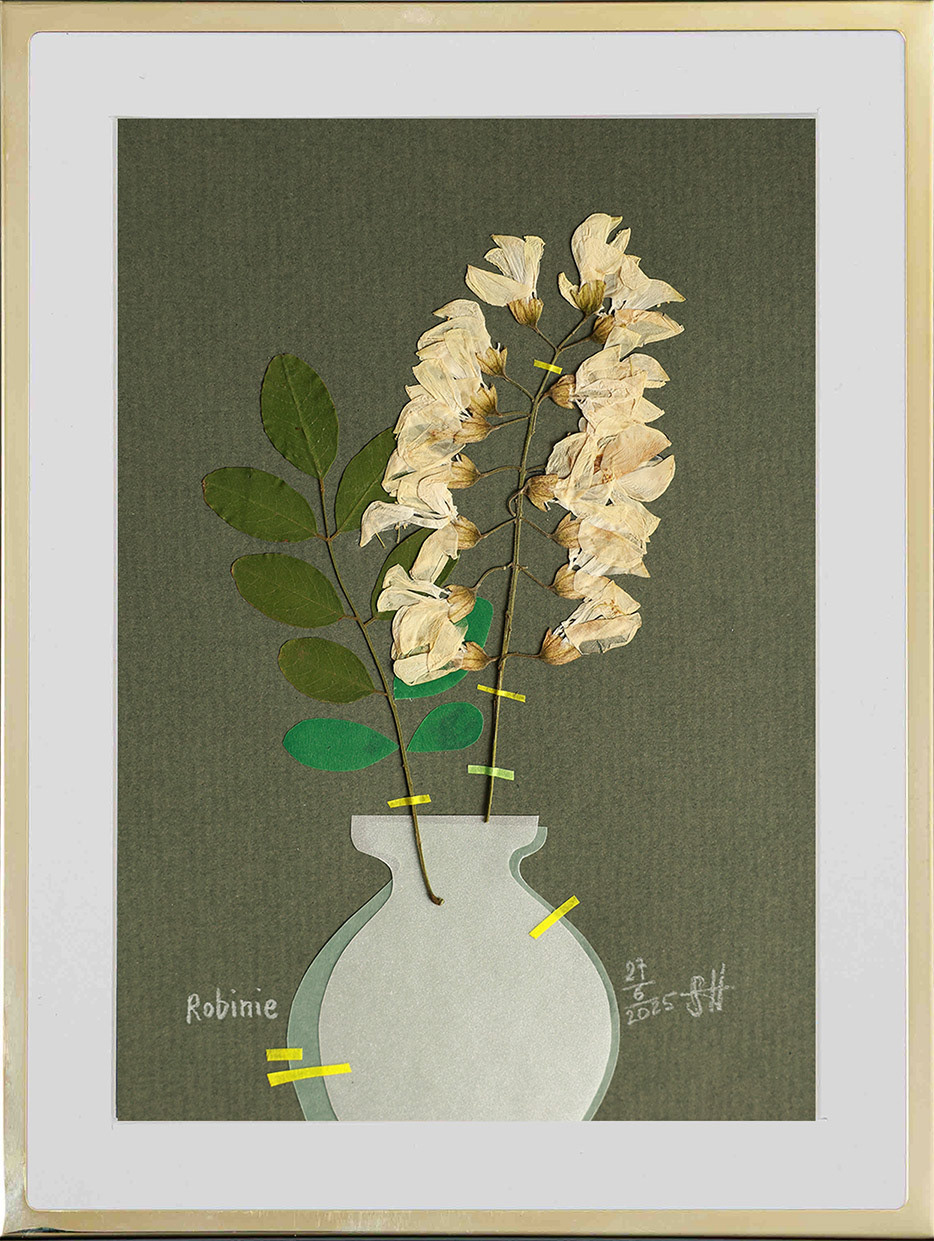 Robinie 15x21 cm