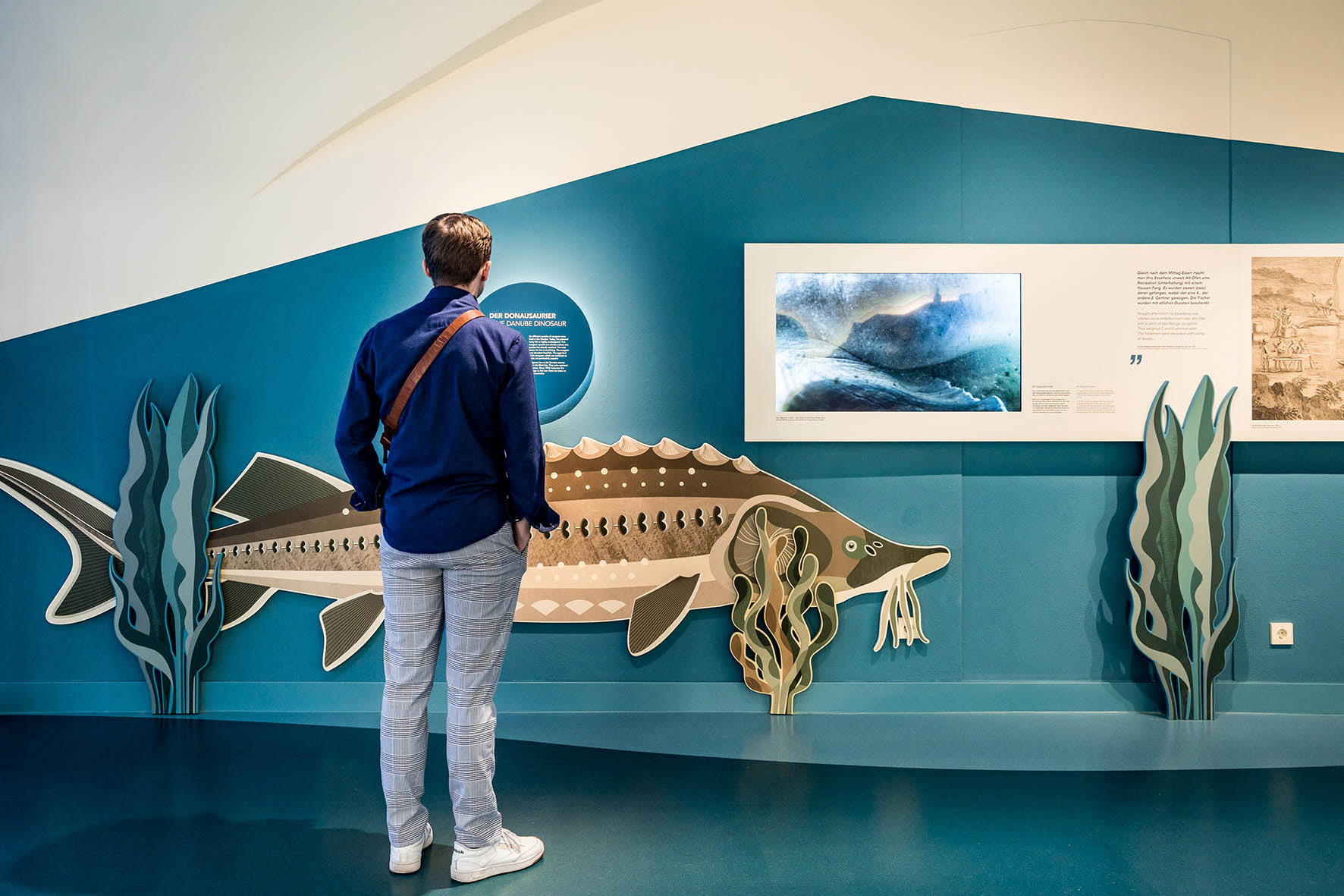 Illustration für eine Ausstellung zum Thema Donau, Stör