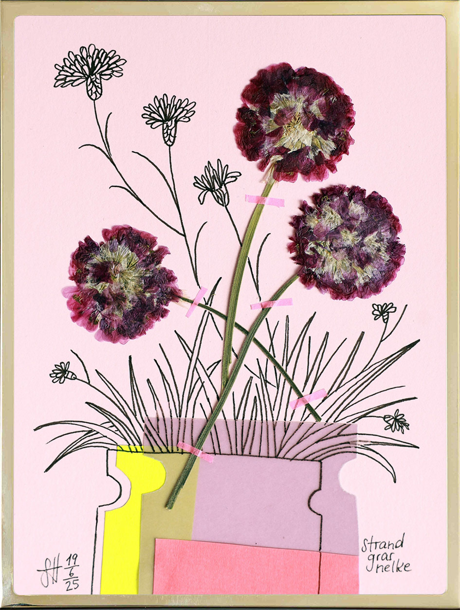 Sreandgrasnelke 10x15 cm