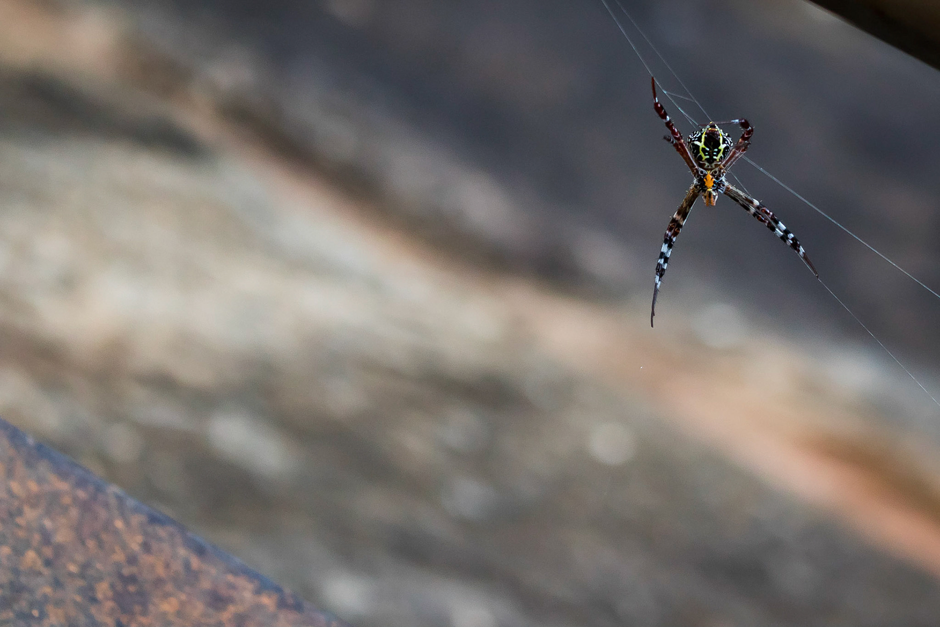 Sigiriya Rock Fortress